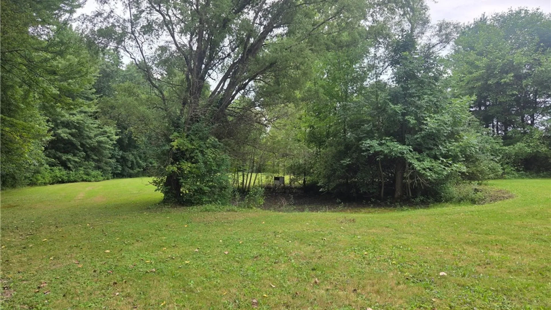 Property at 14056 Carncross Road, Savannah, NY 13146 26