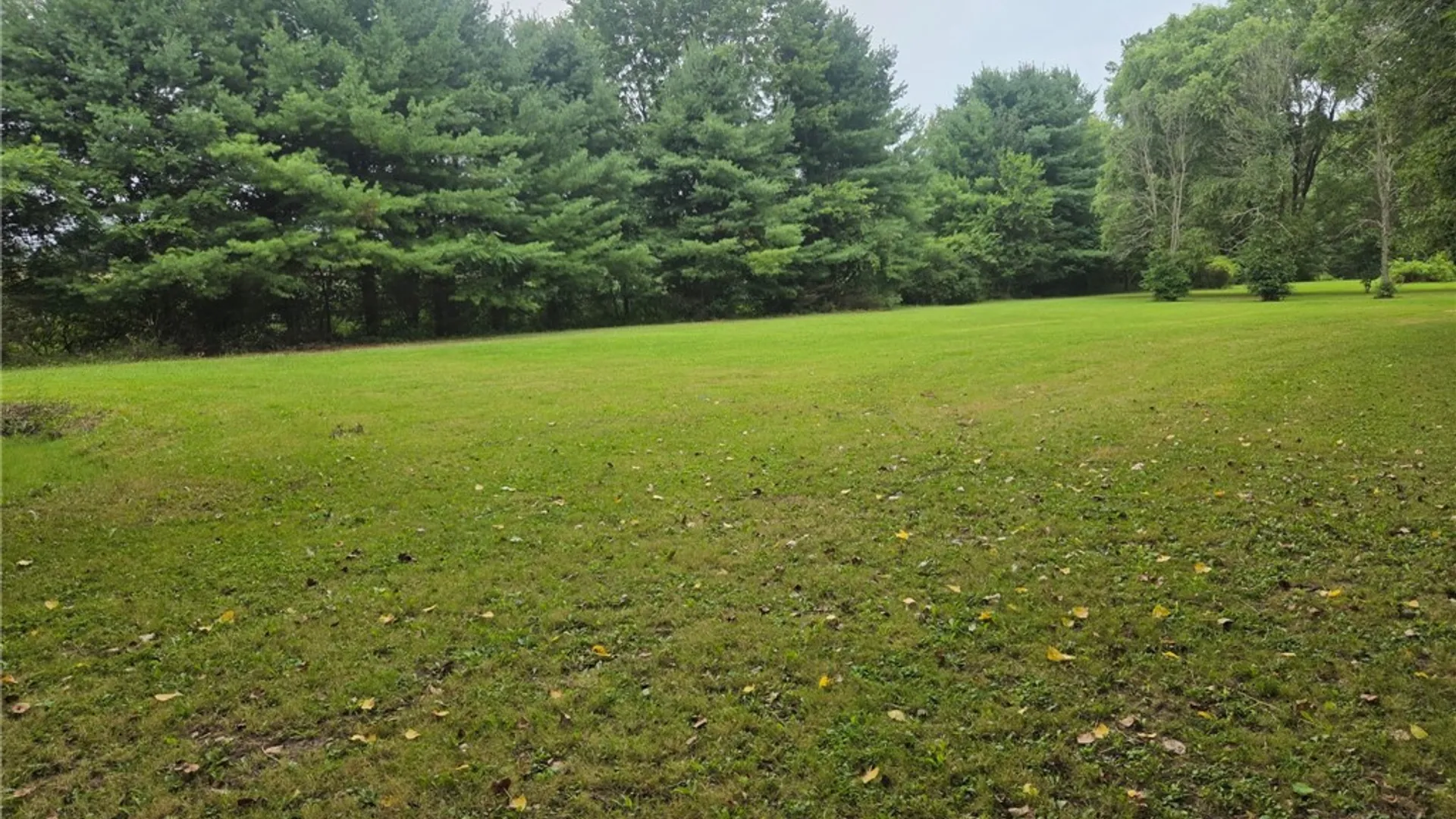 Property at 14056 Carncross Road, Savannah, NY 13146 27