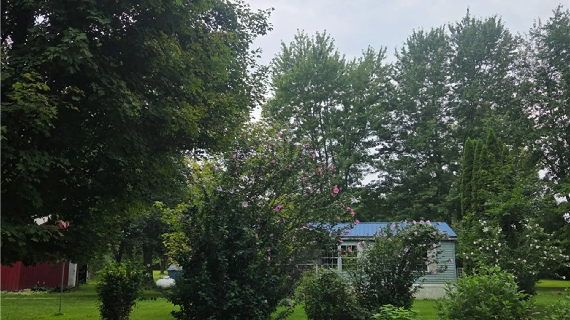 Property at 14056 Carncross Road, Savannah, NY 13146 13
