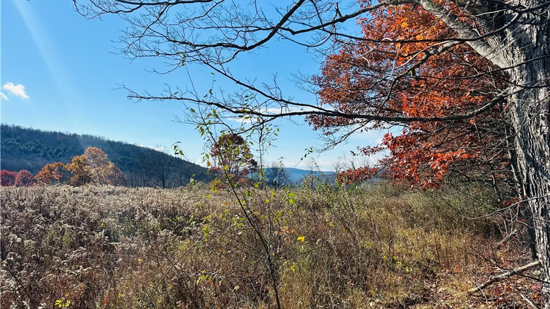 Property at 12522 State Highway 206, Walton, NY 13860 6