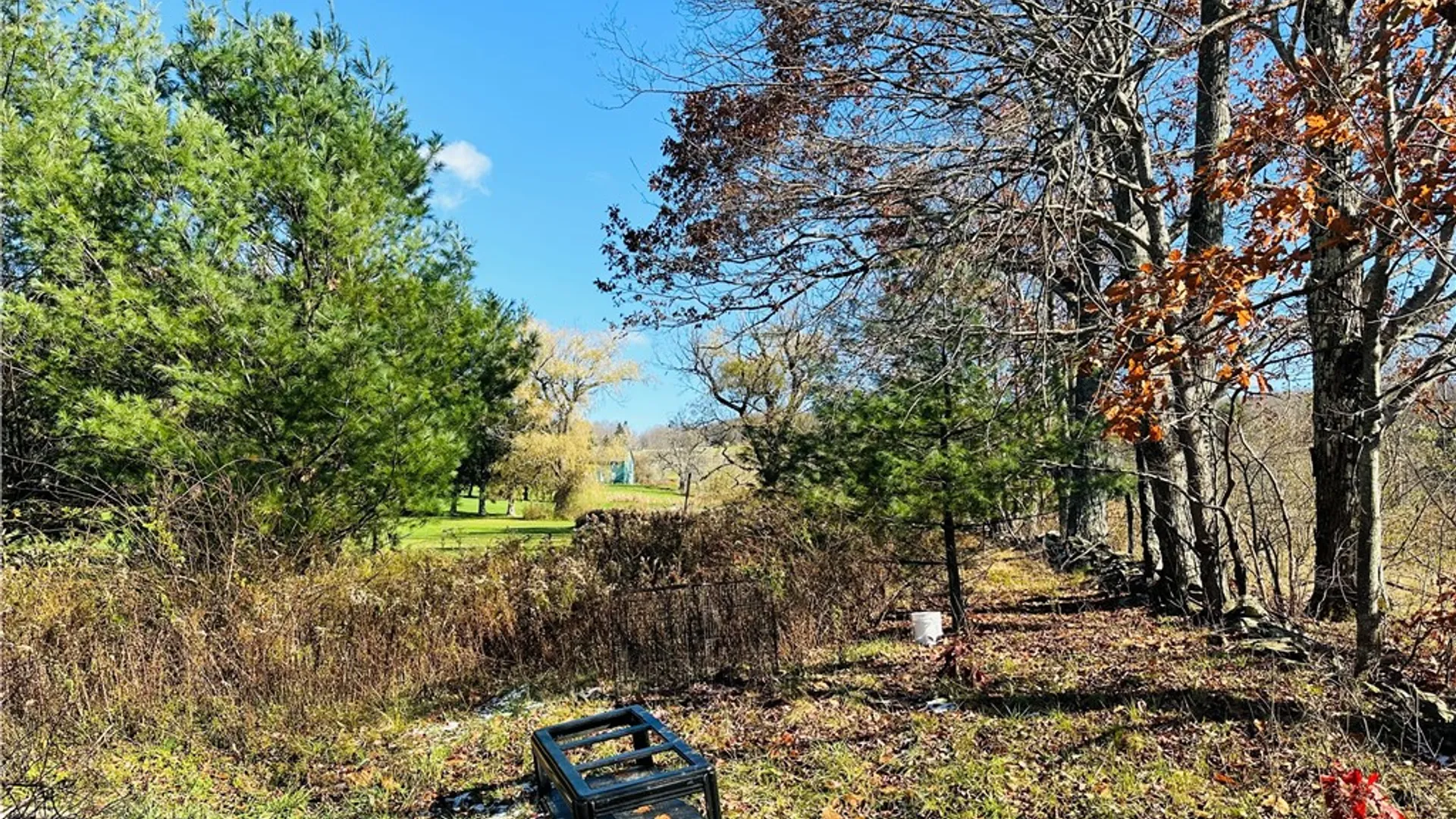 Property at 12522 State Highway 206, Walton, NY 13860 8