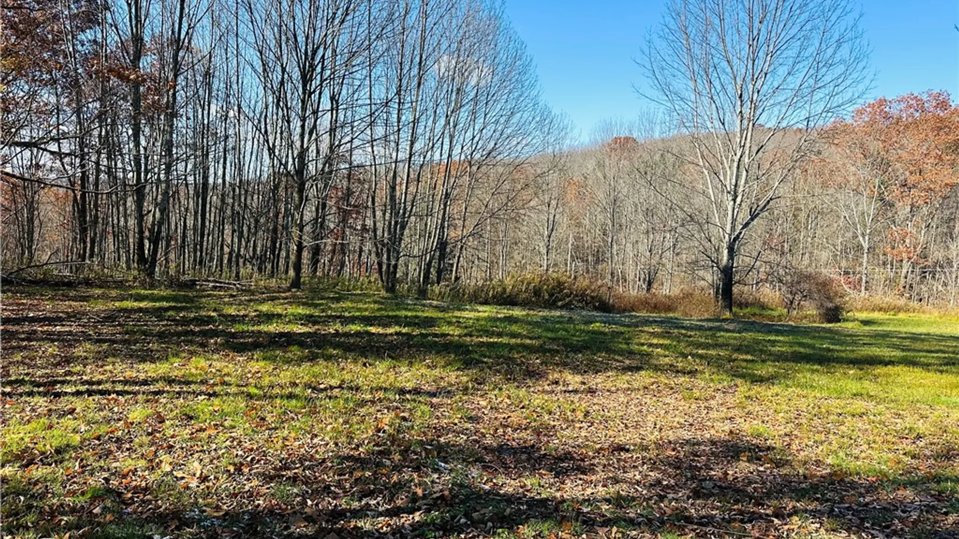 Property at 12522 State Highway 206, Walton, NY 13860 9