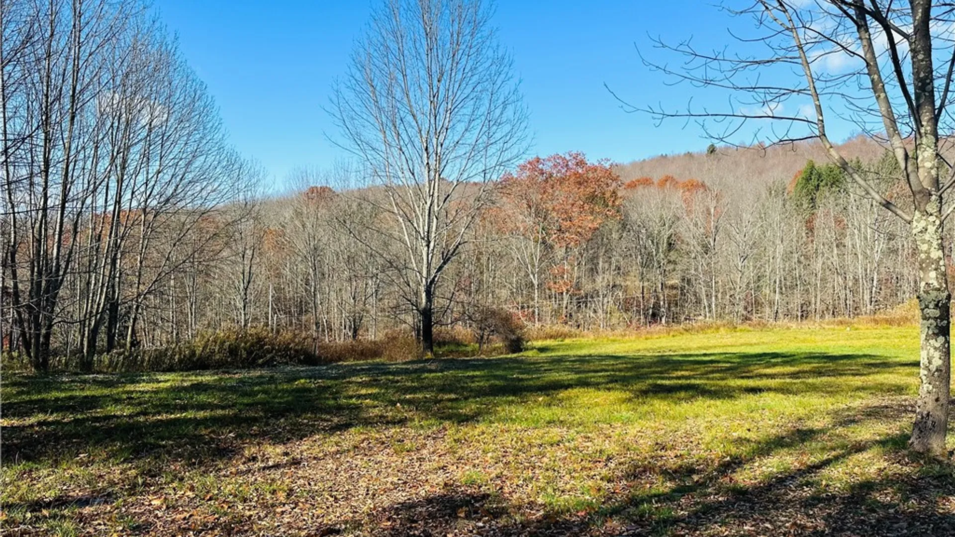 Property at 12522 State Highway 206, Walton, NY 13860 11