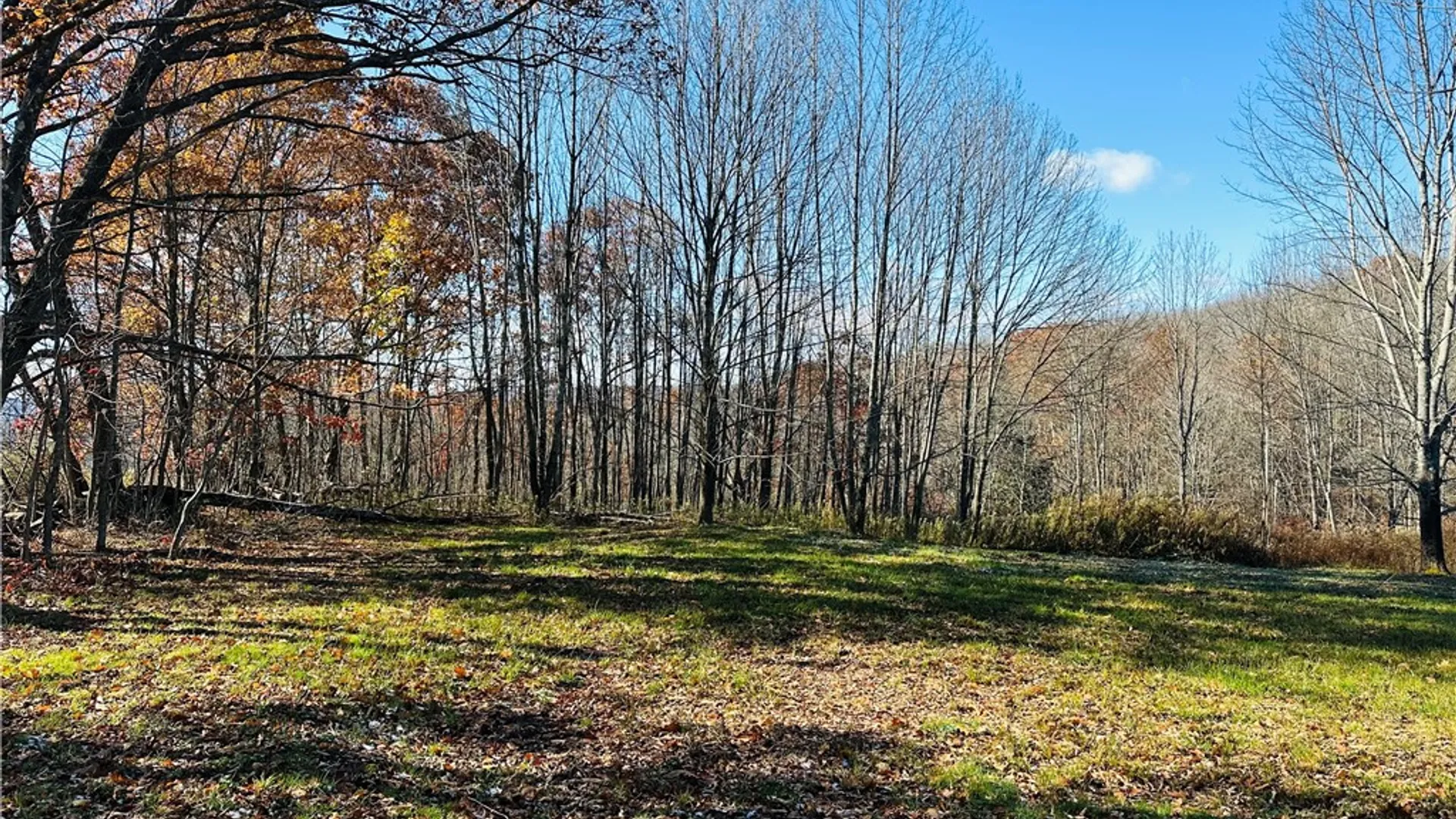Property at 12522 State Highway 206, Walton, NY 13860 12