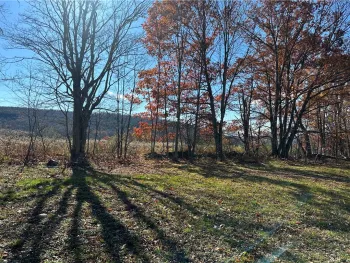 Property at 12522 State Highway 206, Walton, NY 13860