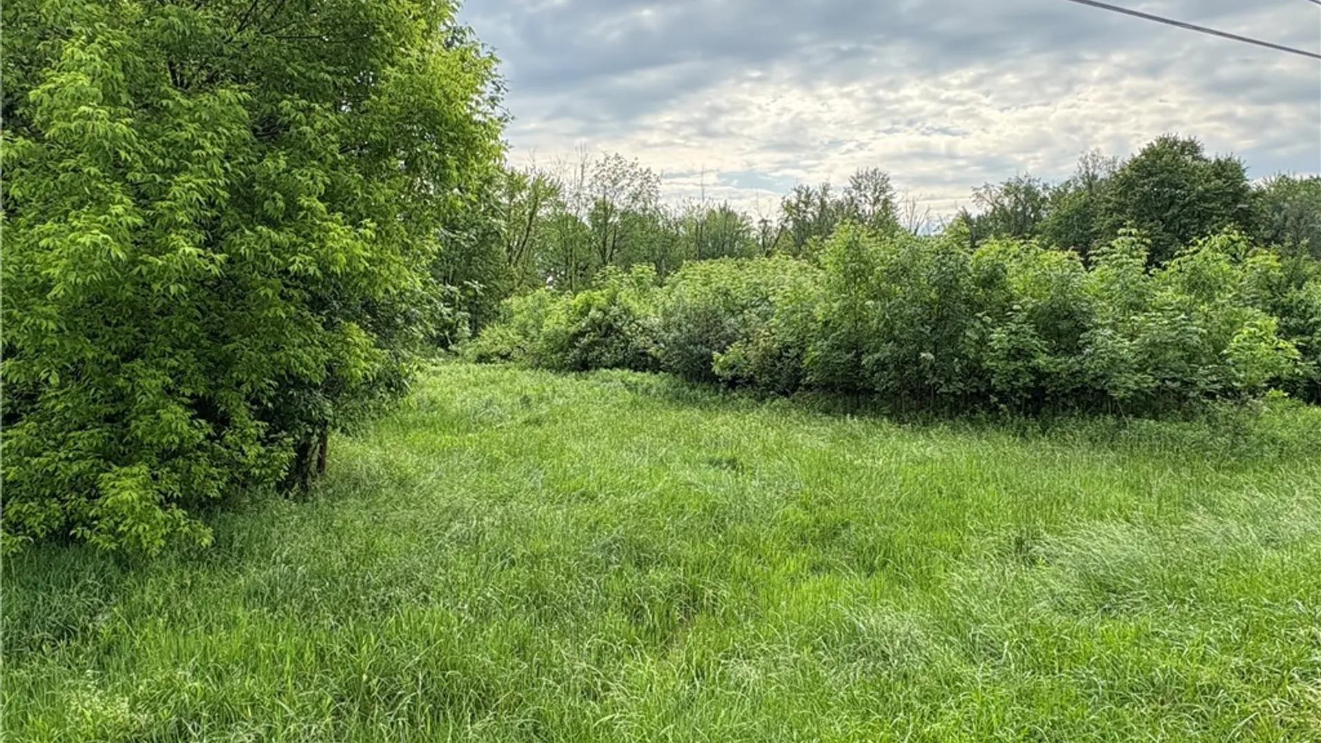Property at 0 Eddy Road, Sullivan, NY 13032 3