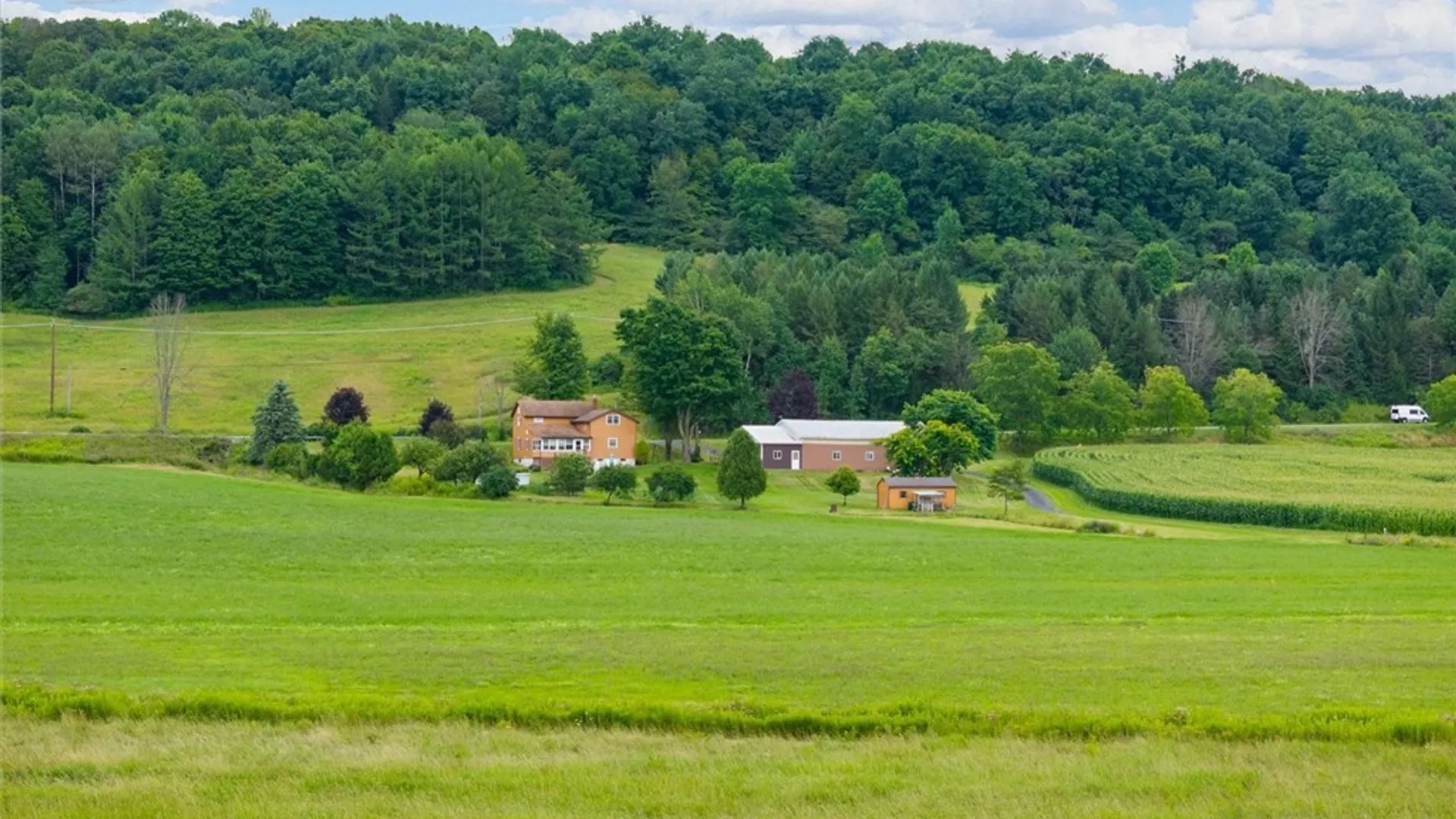 Property at 641 Rt-12, Sangerfield, NY 13480 39