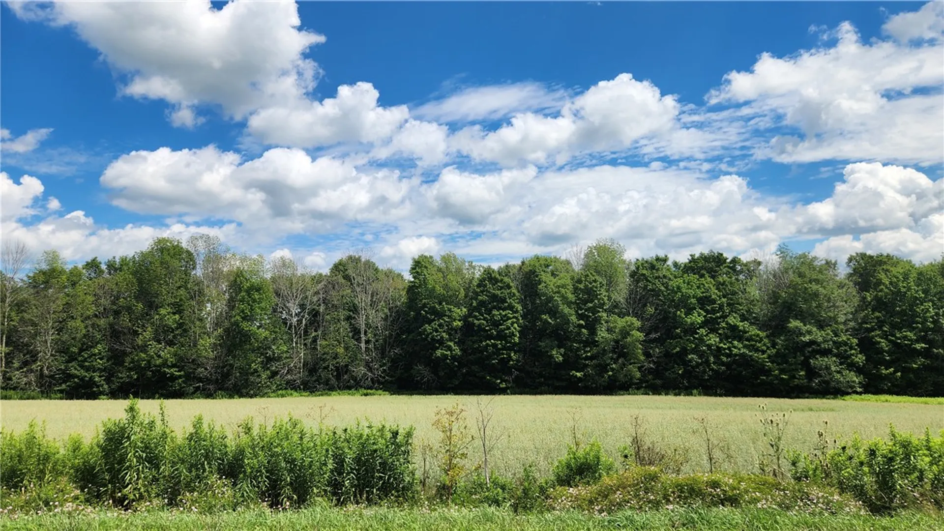 Property at 351 Clancy Road, Greenwood, NY 14806 36