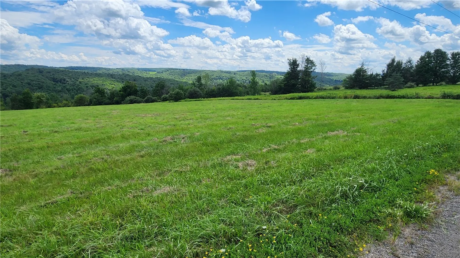 Property at 351 Clancy Road, Greenwood, NY 14806 38