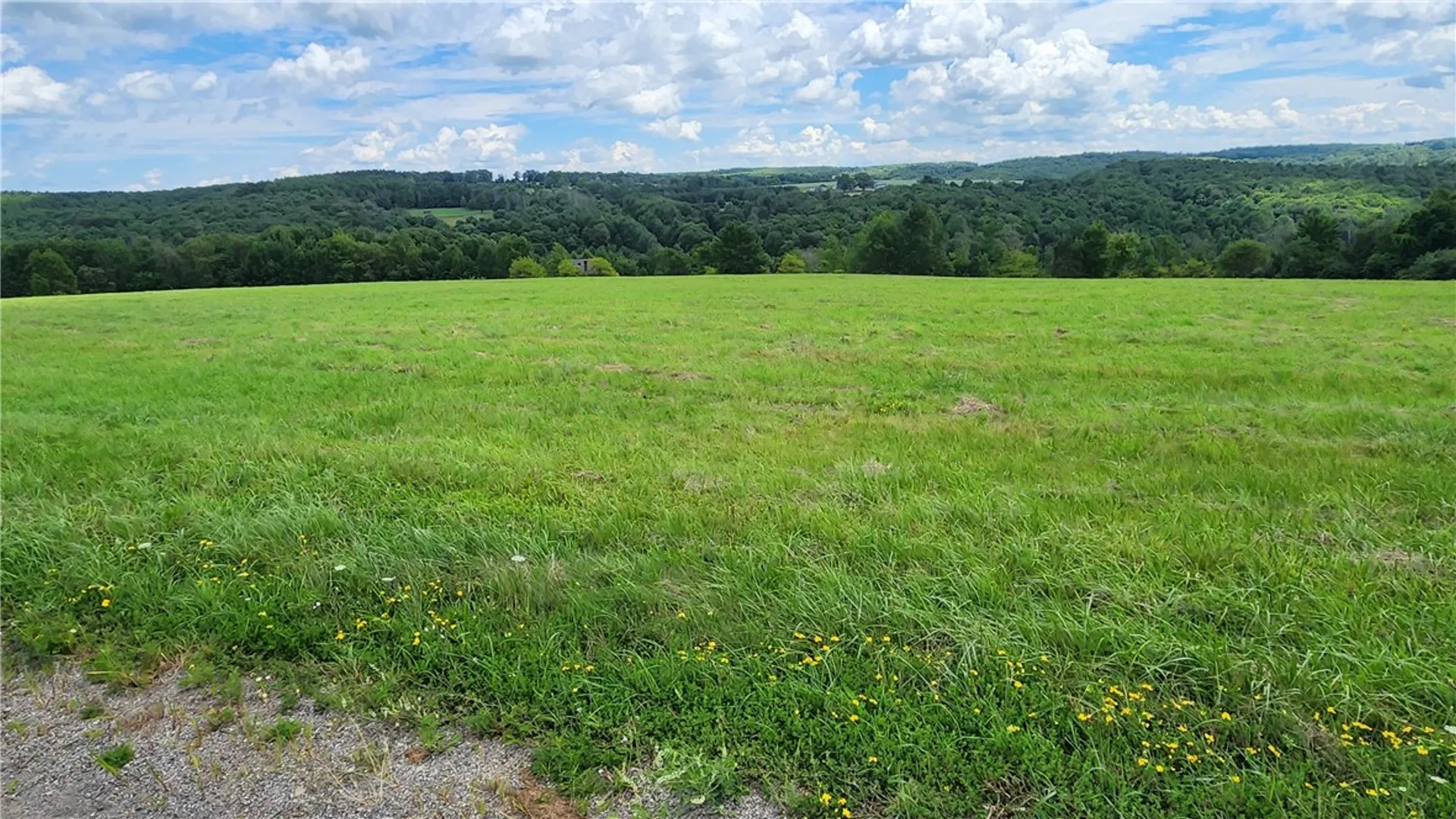 Property at 351 Clancy Road, Greenwood, NY 14806 39