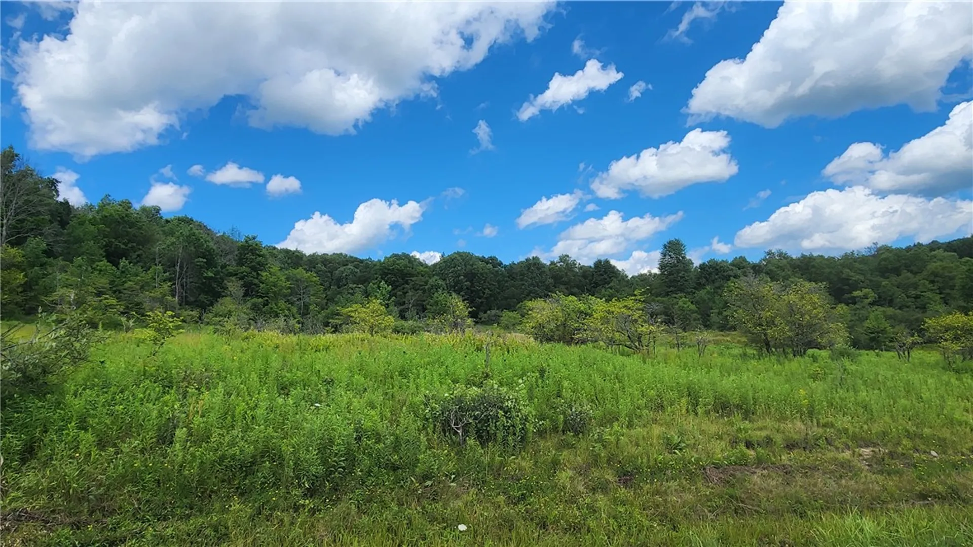 Property at 351 Clancy Road, Greenwood, NY 14806 40