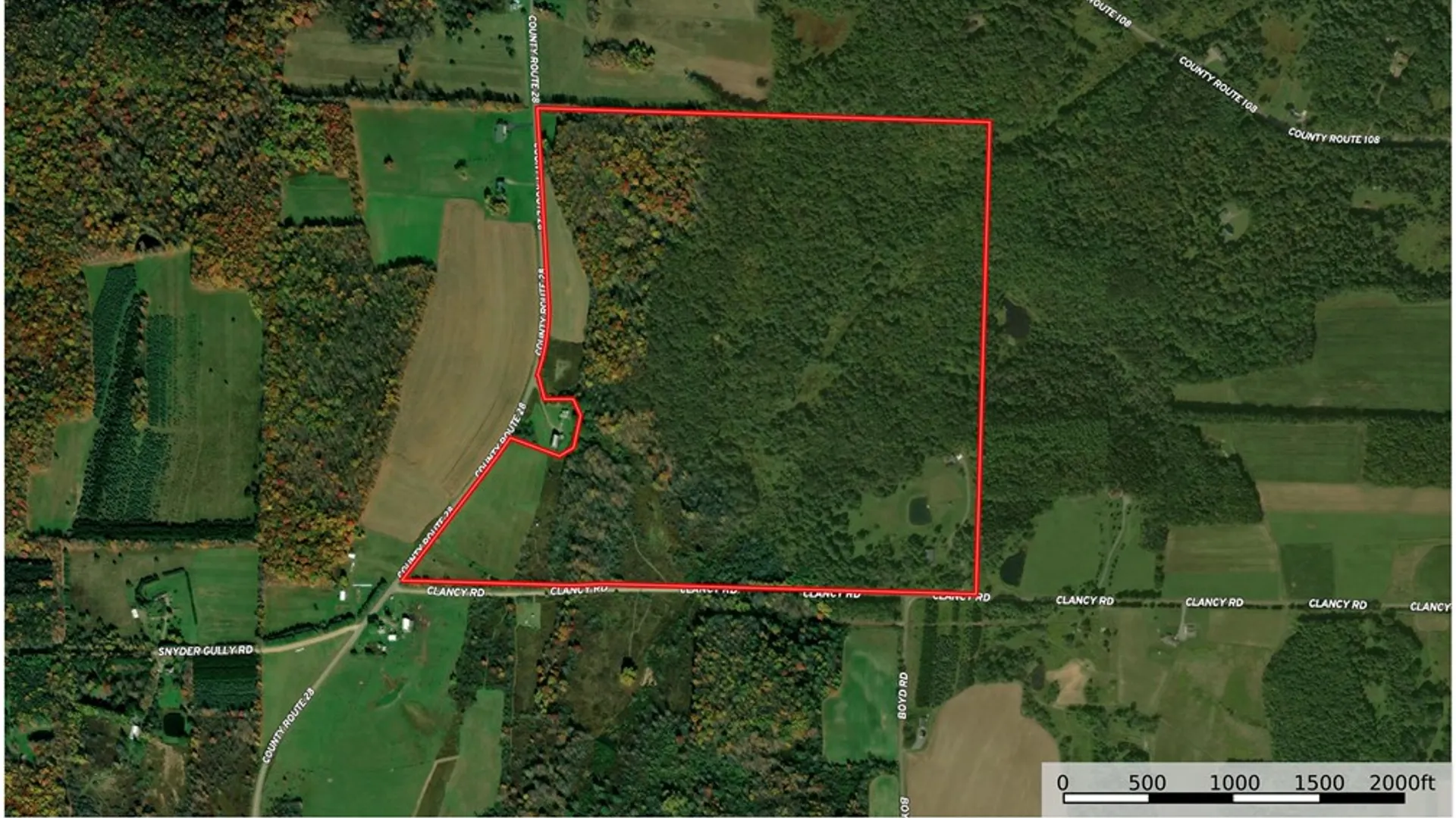 Property at 351 Clancy Road, Greenwood, NY 14806 46