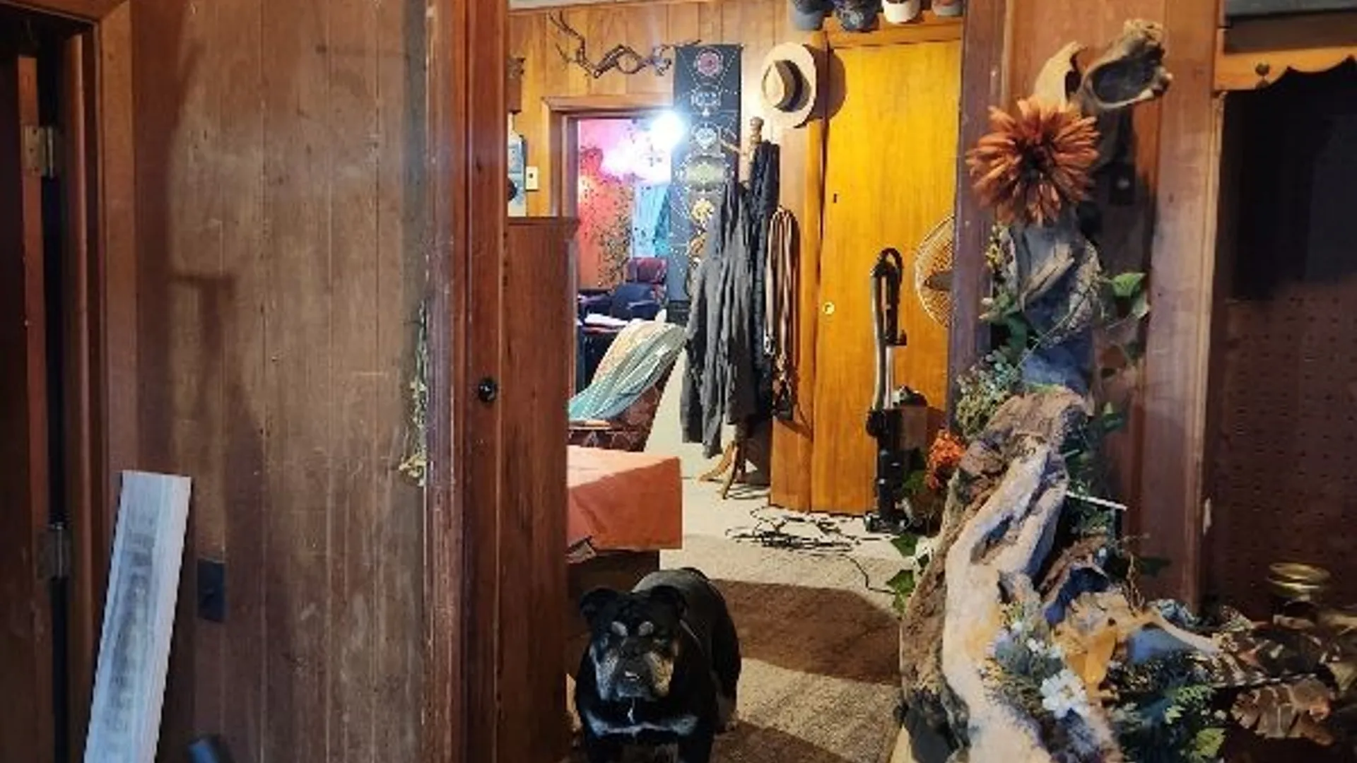 Property at 7456 State Route 31, Lyons, NY 14489 13