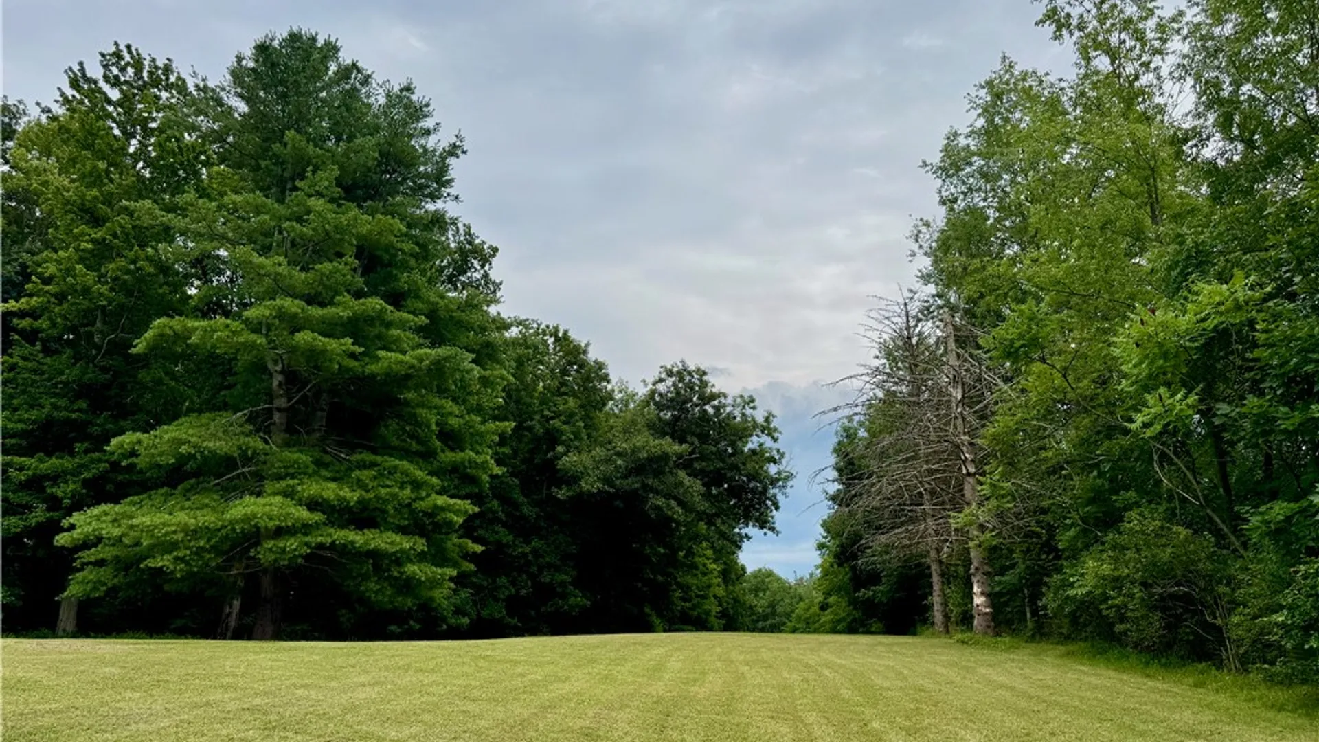 Property at 2619 County Road 35, Guilford, NY 13733 46