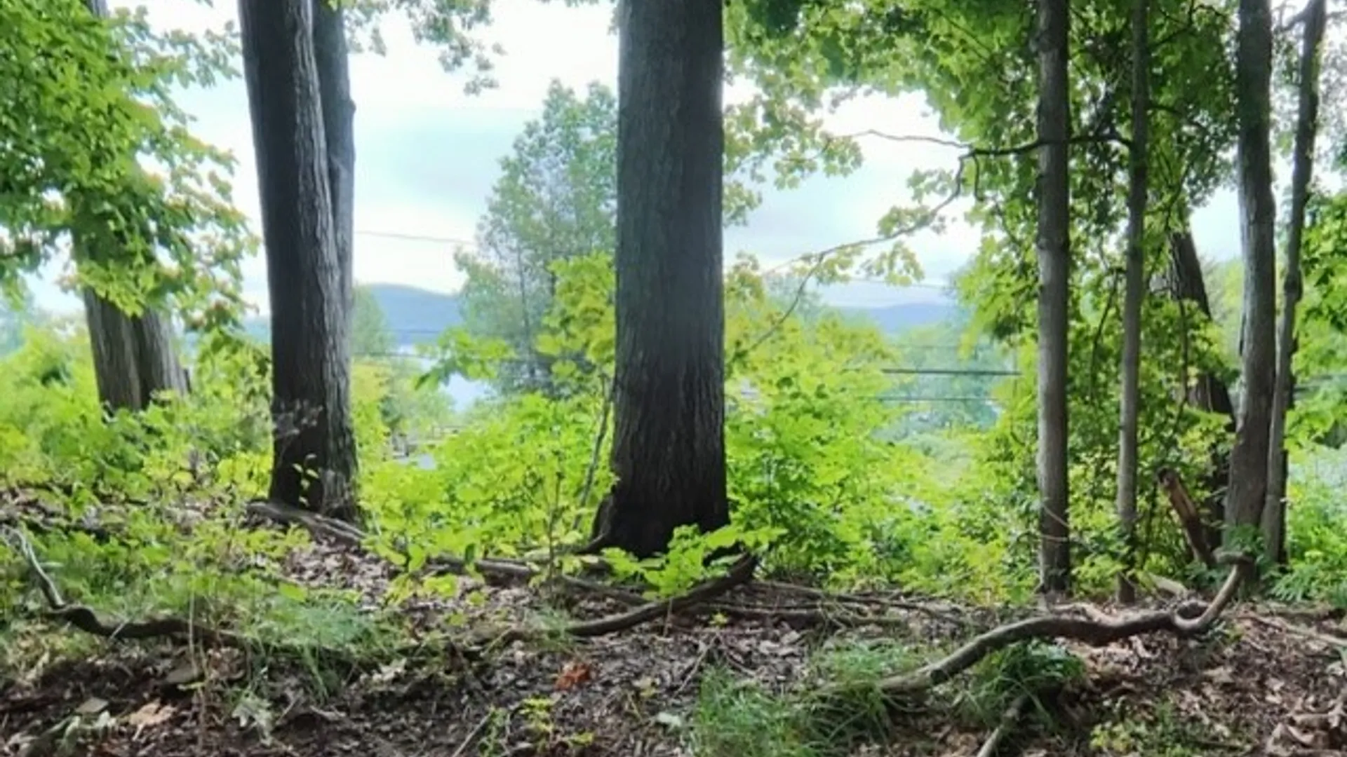 Property at 0 State Highway 80, Springfield, NY 13326 4