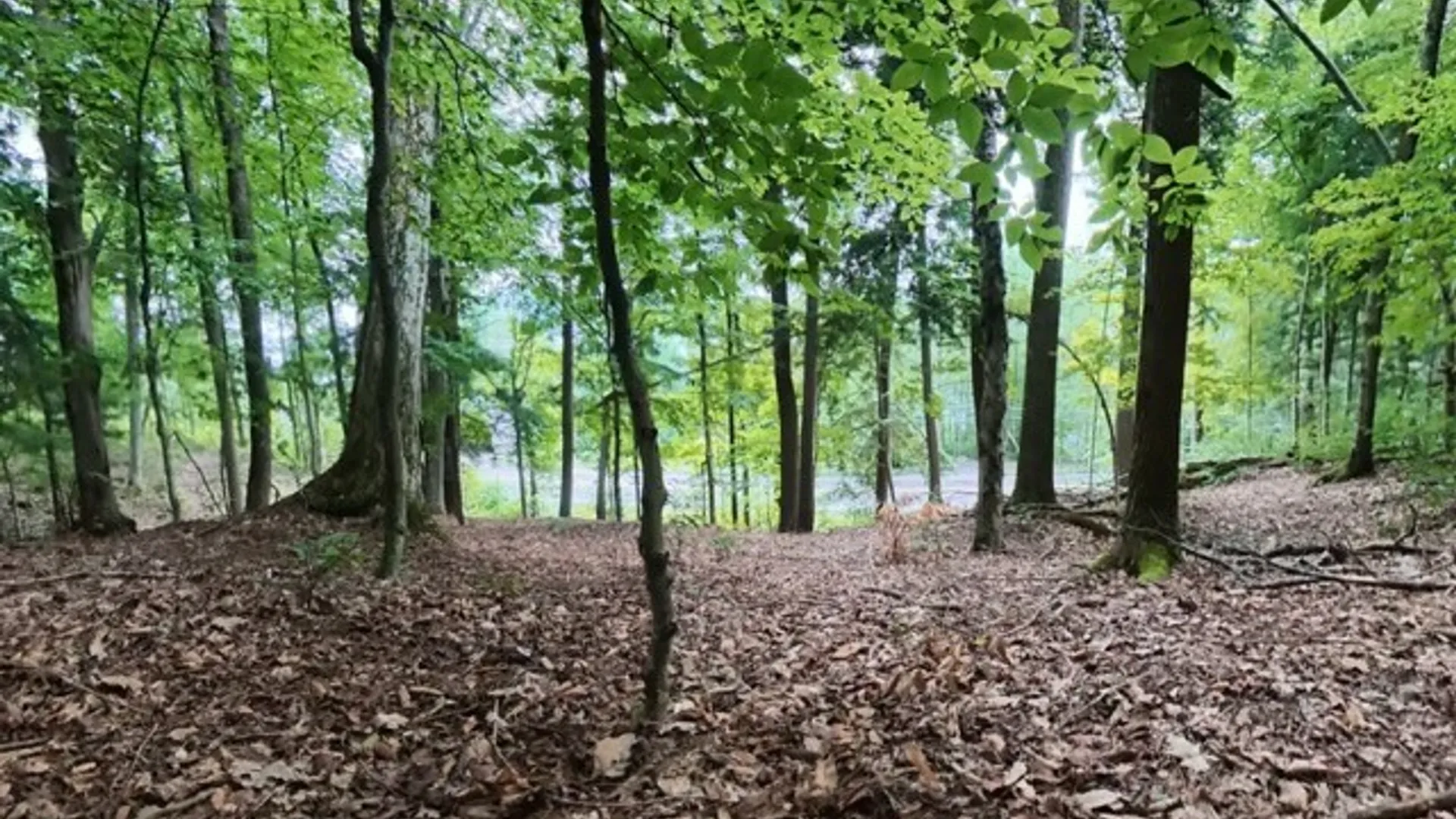 Property at 0 State Highway 80, Springfield, NY 13326 5
