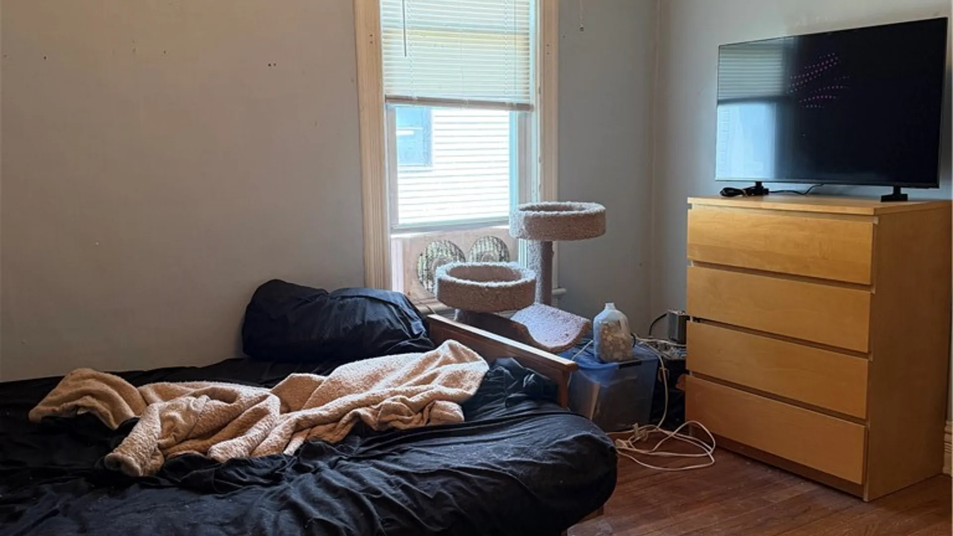 Property at 5 Normal Avenue, Oneonta, NY 13820 20