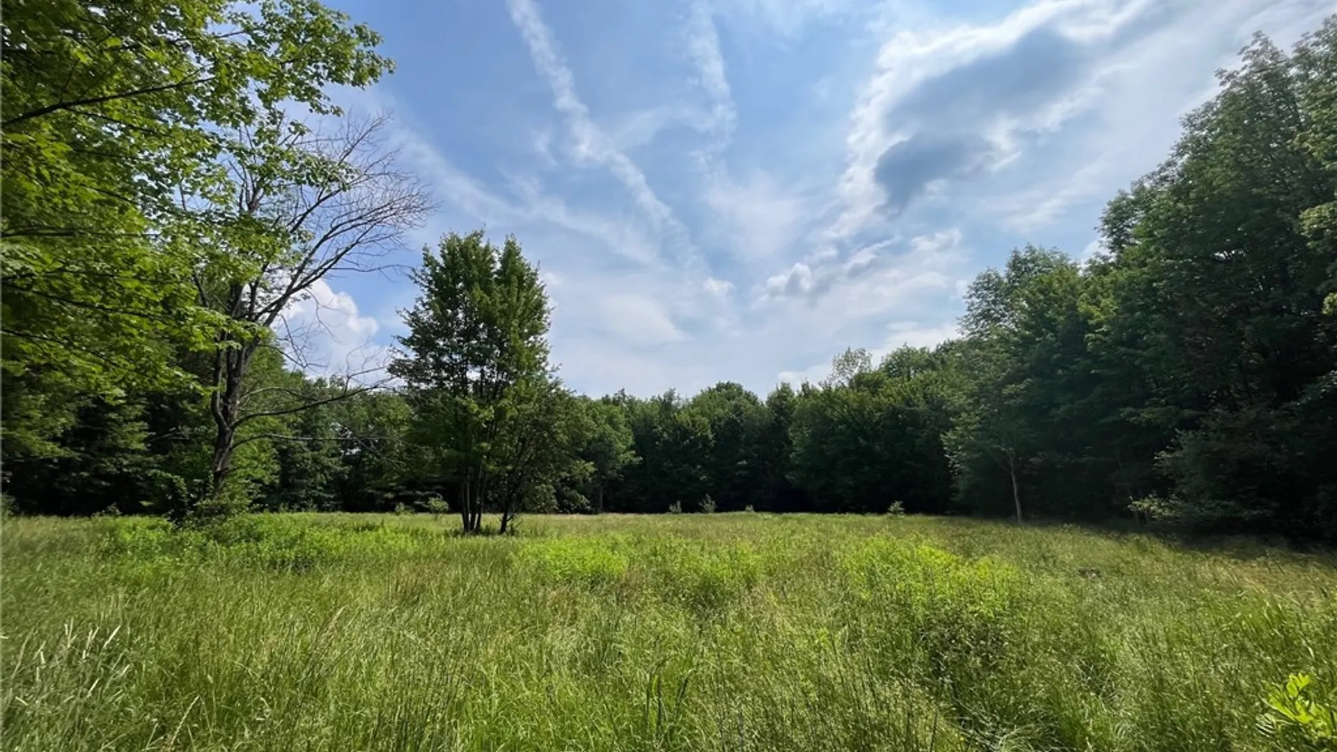 Property at 7196 Cloverleaf Road, New Hudson, NY 14711 37