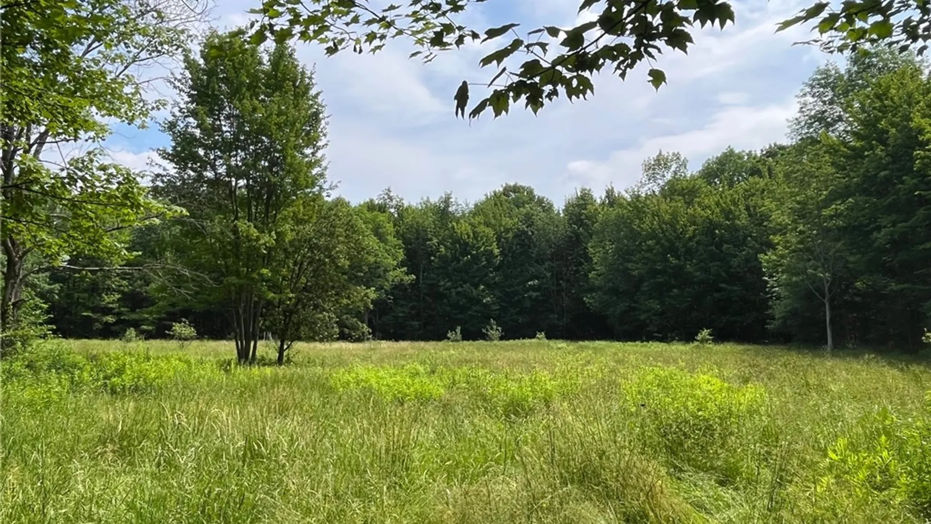 Property at 7196 Cloverleaf Road, New Hudson, NY 14711 38