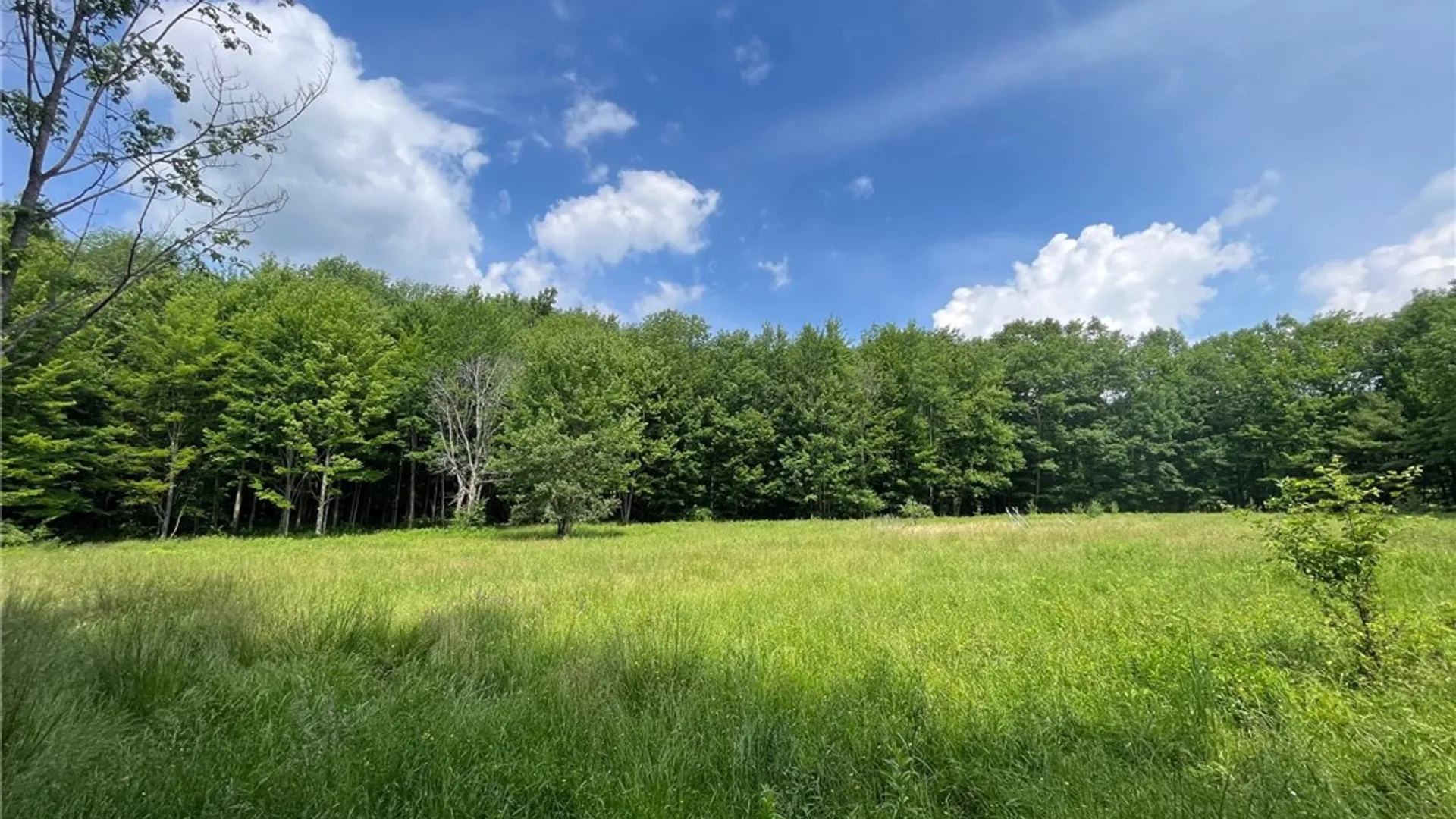 Property at 7196 Cloverleaf Road, New Hudson, NY 14711 39
