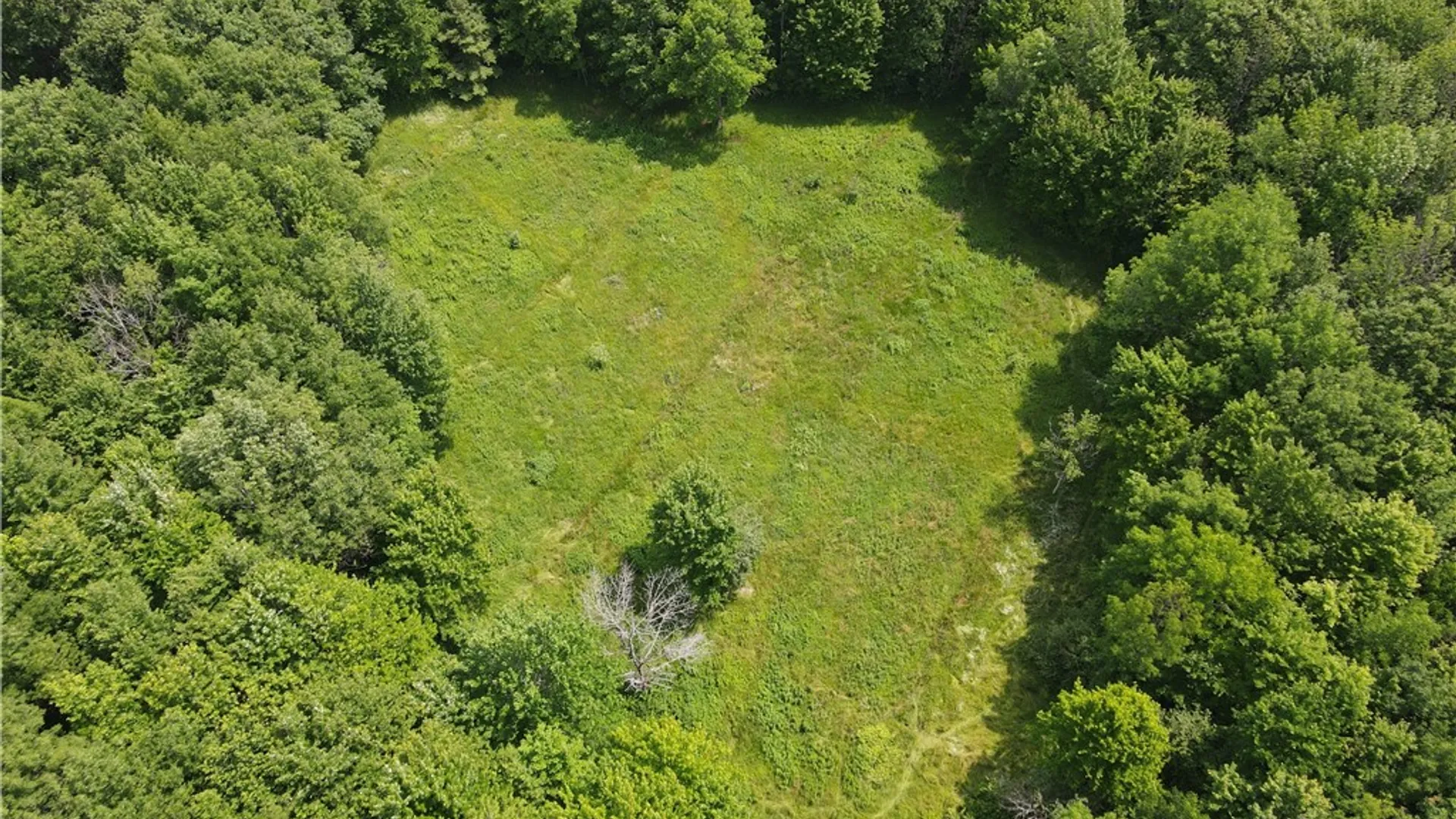 Property at 7196 Cloverleaf Road, New Hudson, NY 14711 40