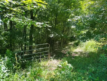 Property at 287 Dirt Road, Delhi, NY 13752