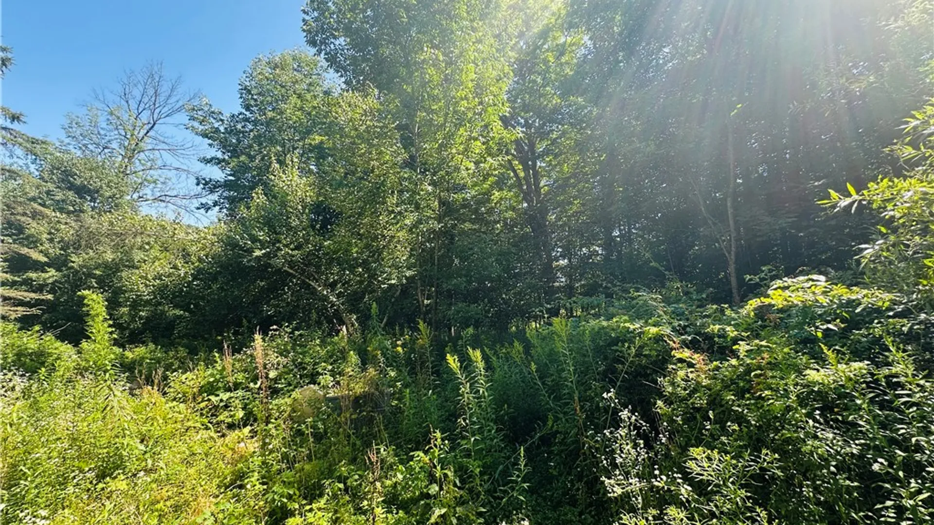 Property at 287 Dirt Road, Delhi, NY 13752 4