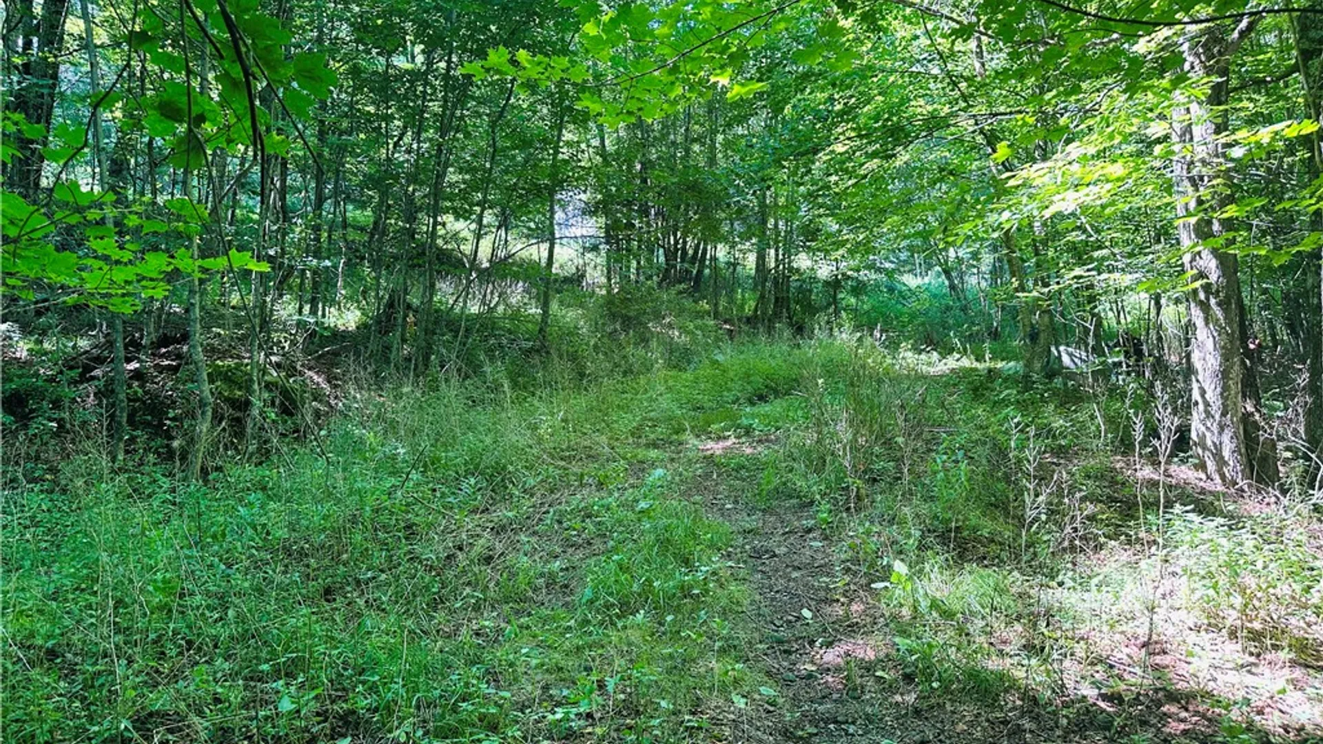 Property at 287 Dirt Road, Delhi, NY 13752 6