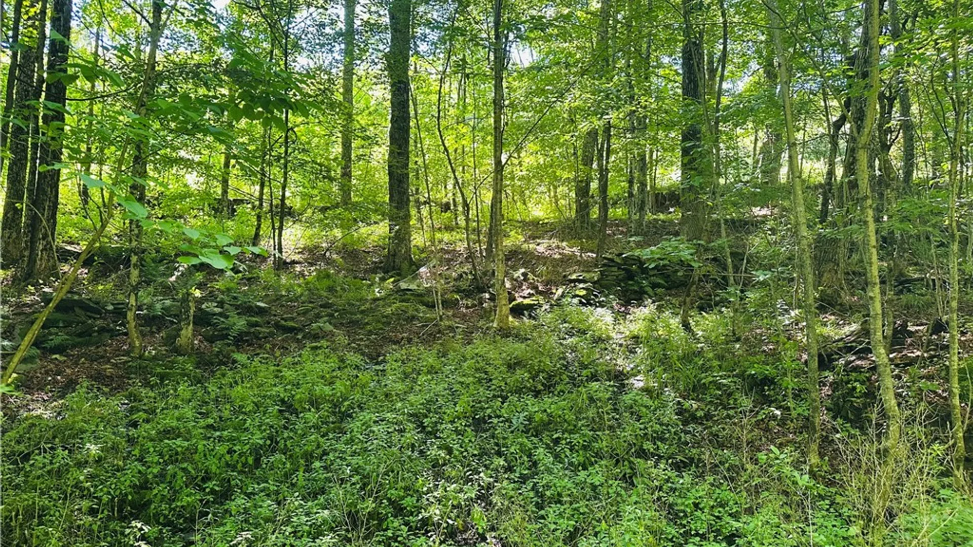 Property at 287 Dirt Road, Delhi, NY 13752 7