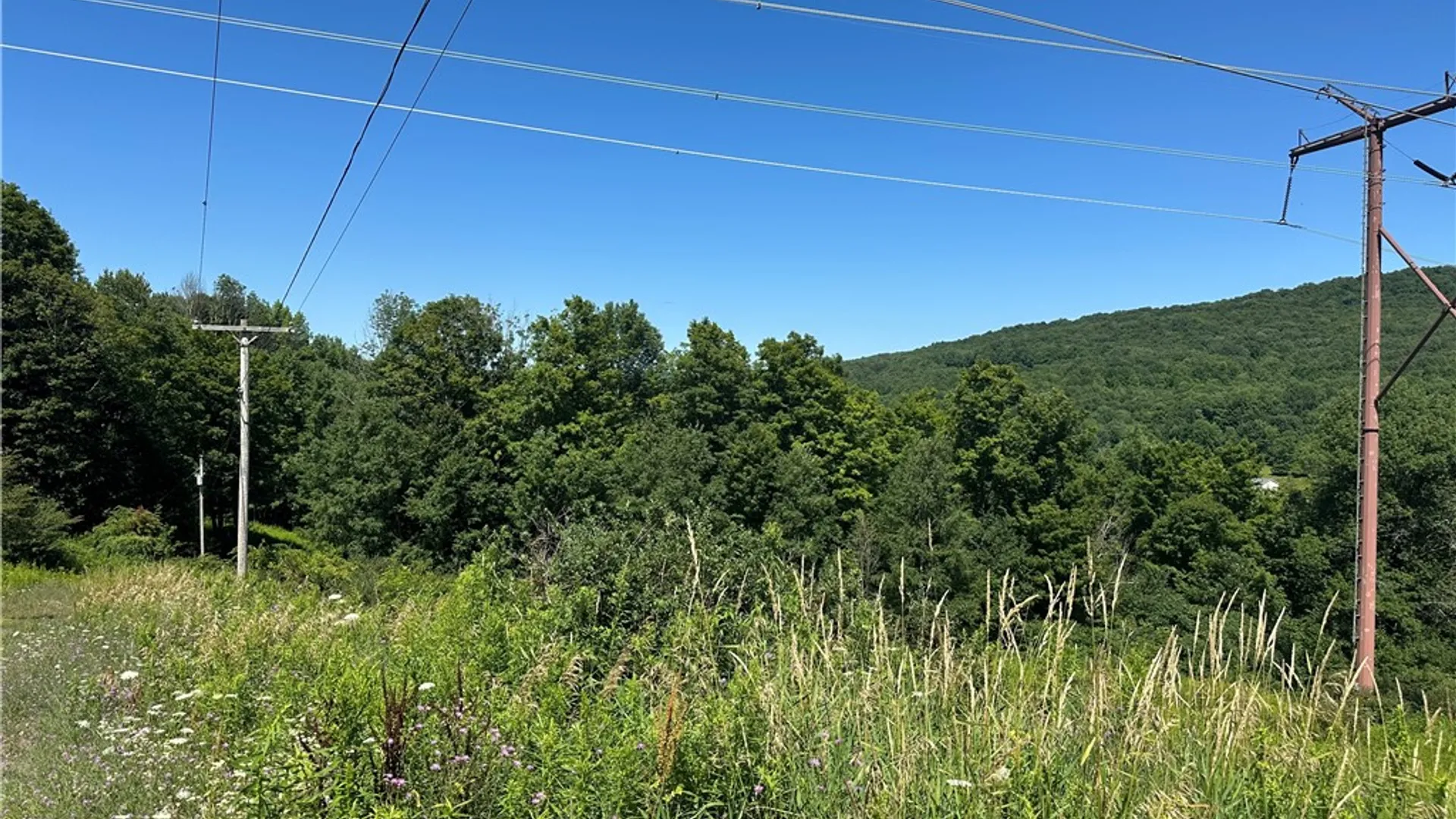 Property at 287 Dirt Road, Delhi, NY 13752 9