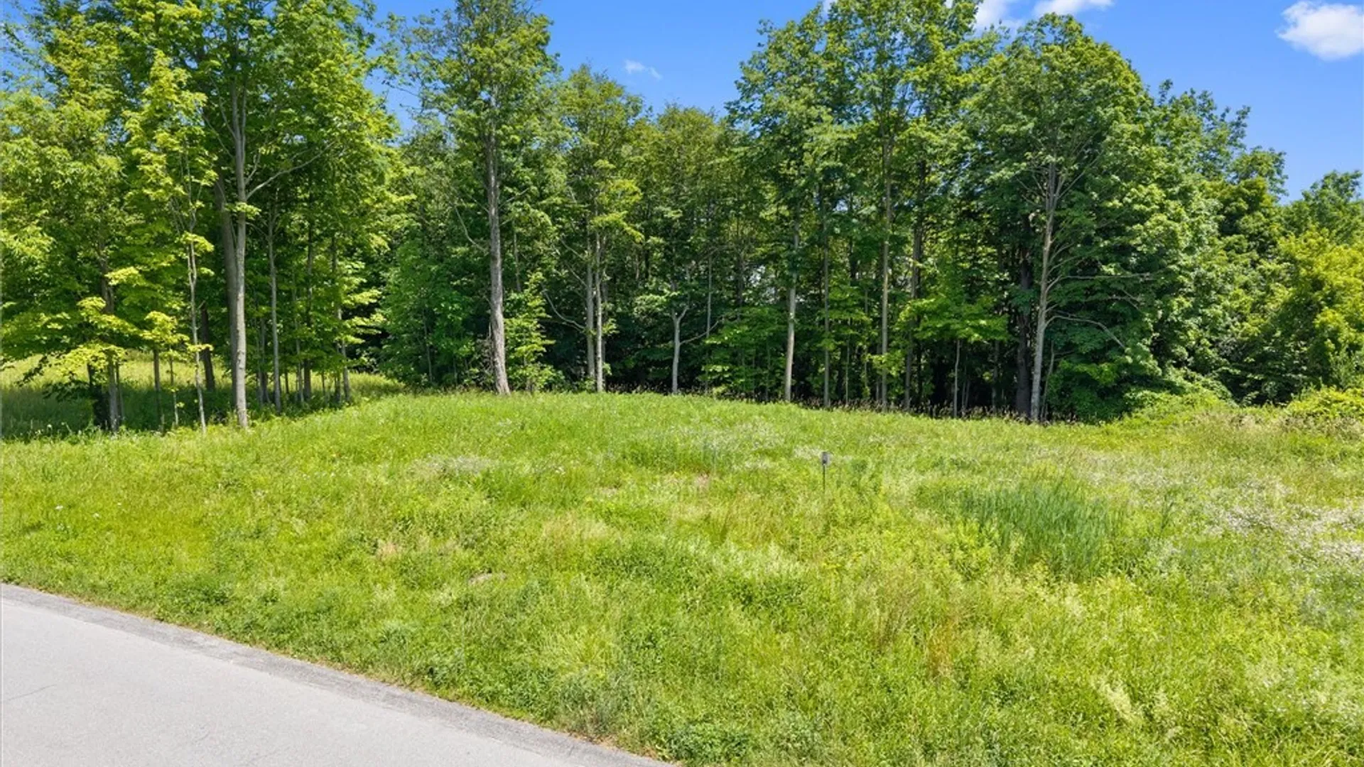 Property at 7103 Kittiwake Run, Manlius, NY 13104 4