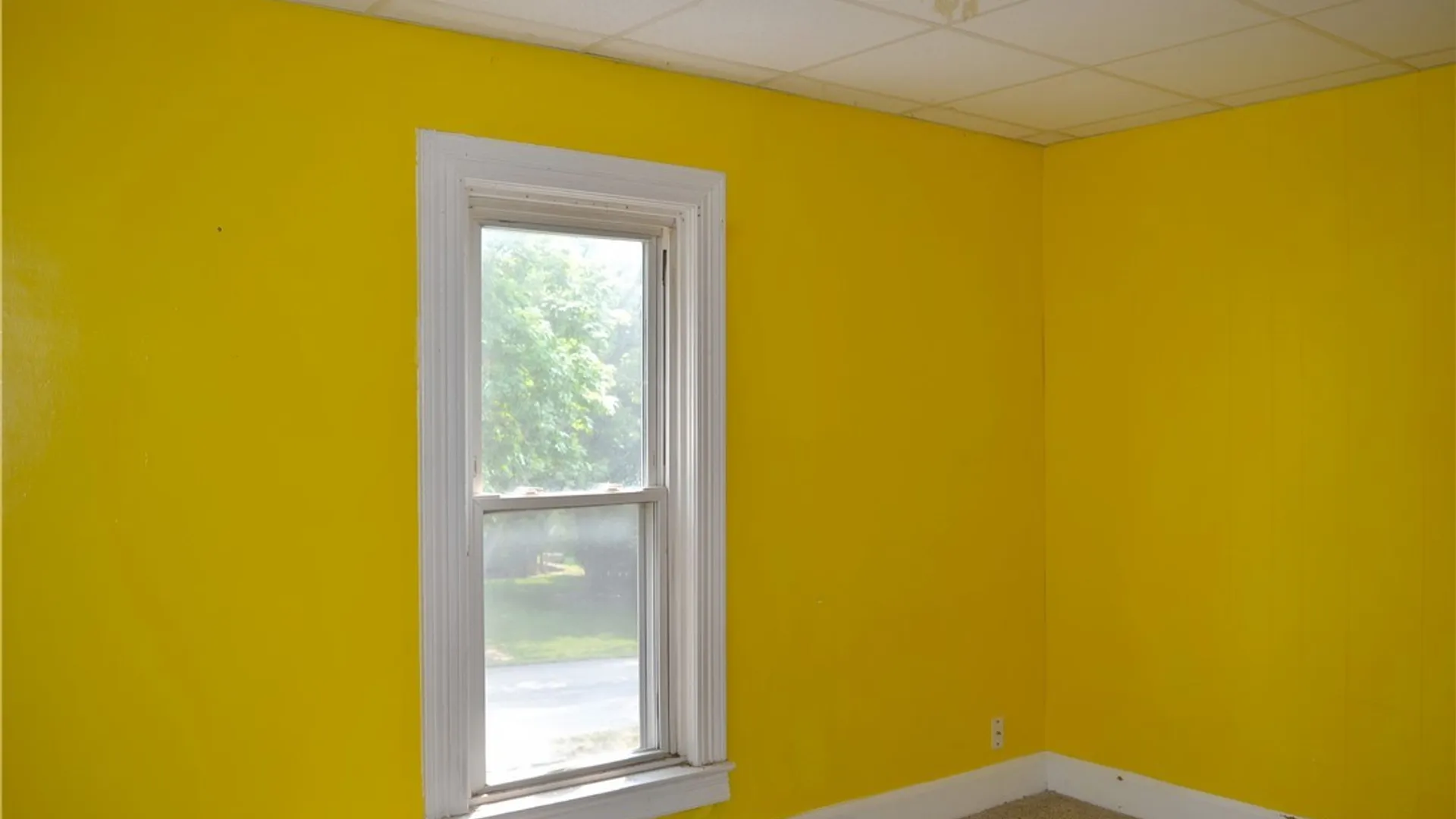 Property at 16 Prospect Street, Pembroke, NY 14036 11