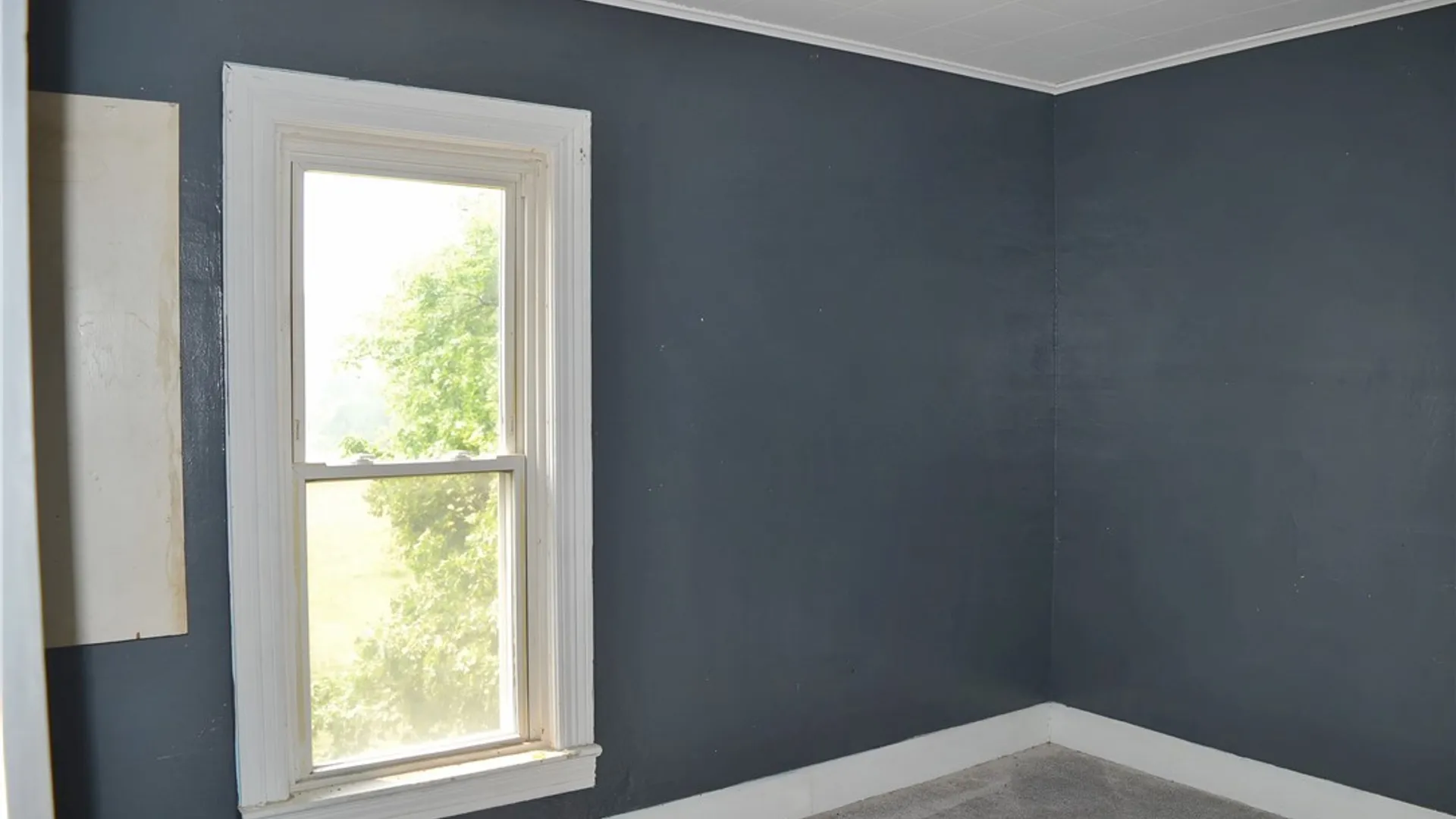 Property at 16 Prospect Street, Pembroke, NY 14036 17