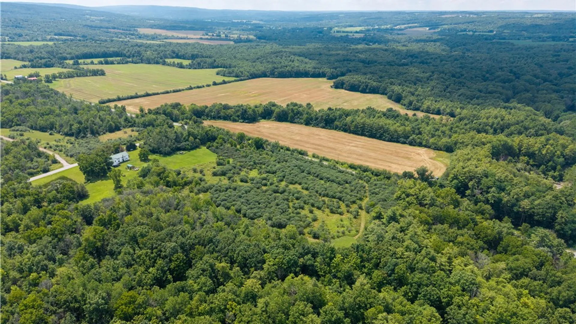 Property at 2919 Wildcat Rd, Mt Morris, NY 14510 37