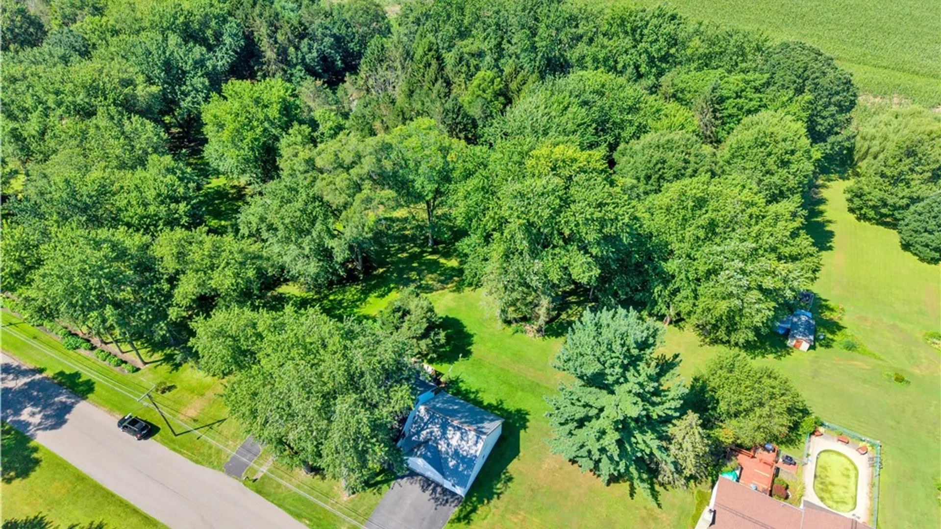 Property at 1693 Grand Avenue, Savannah, NY 13146 5