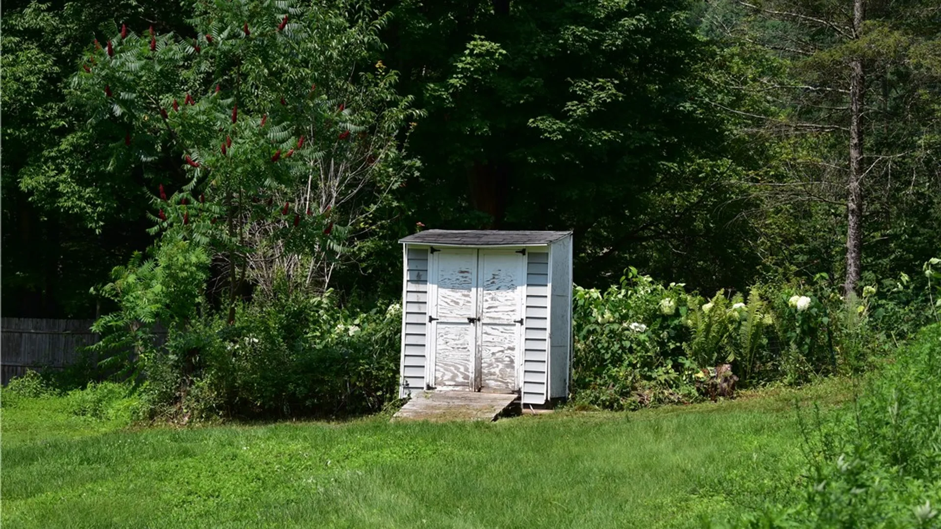 Property at 41 Whipple Road, Davenport, NY 12406 29