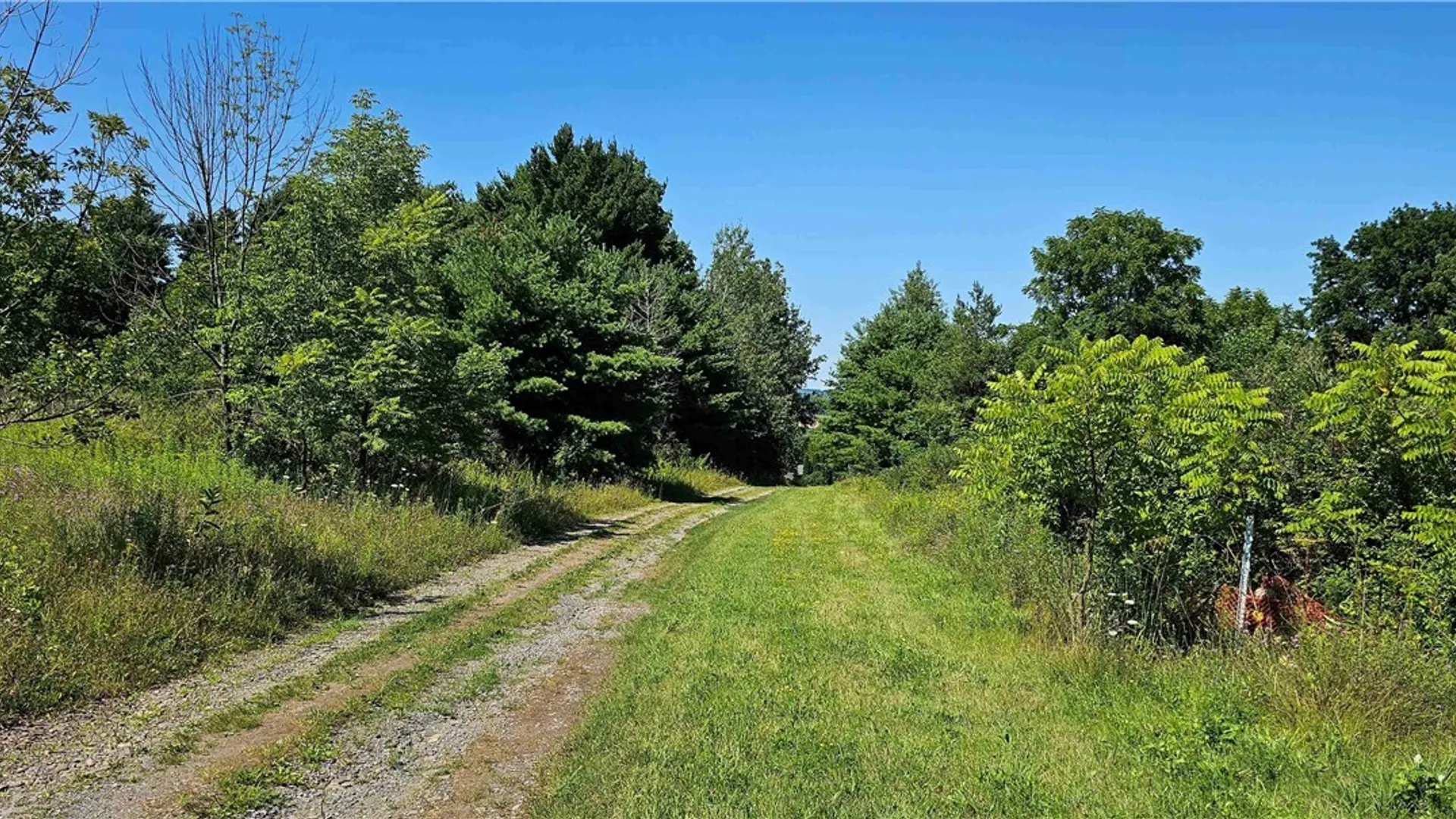 Property at Ferguson Road, Dryden, NY 13053 4