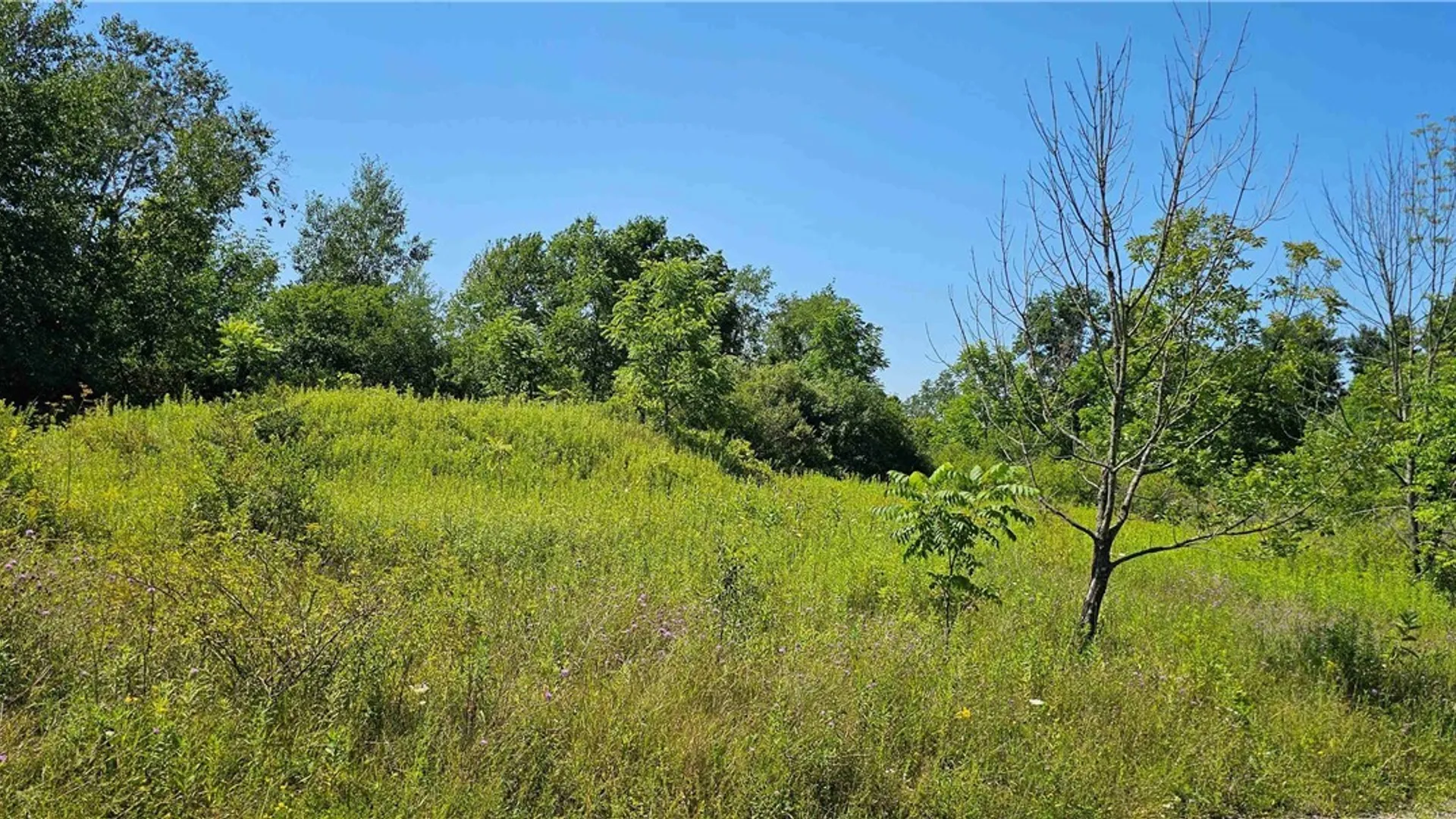 Property at Ferguson Road, Dryden, NY 13053 5