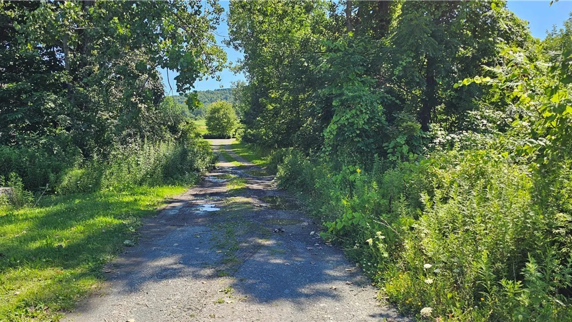 Property at Ferguson Road, Dryden, NY 13053 6