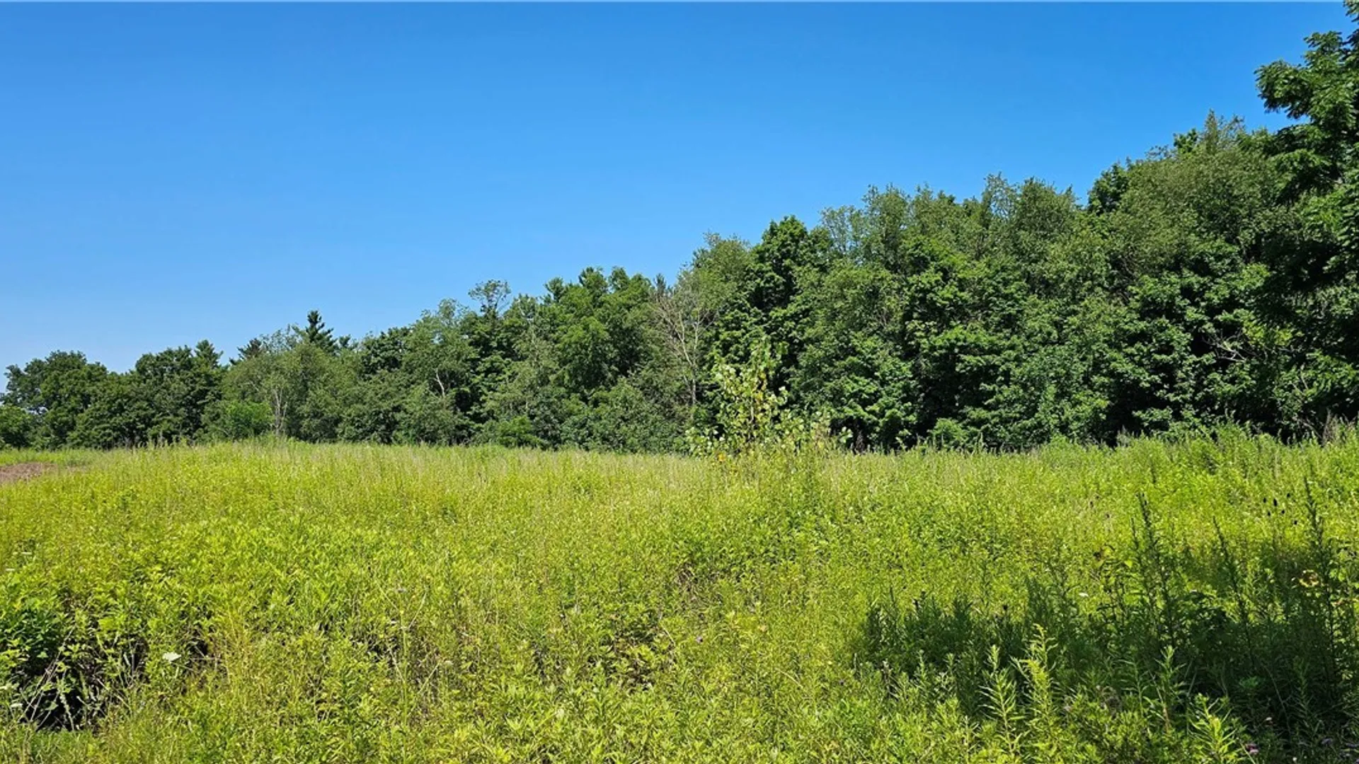 Property at Ferguson Road, Dryden, NY 13053 7