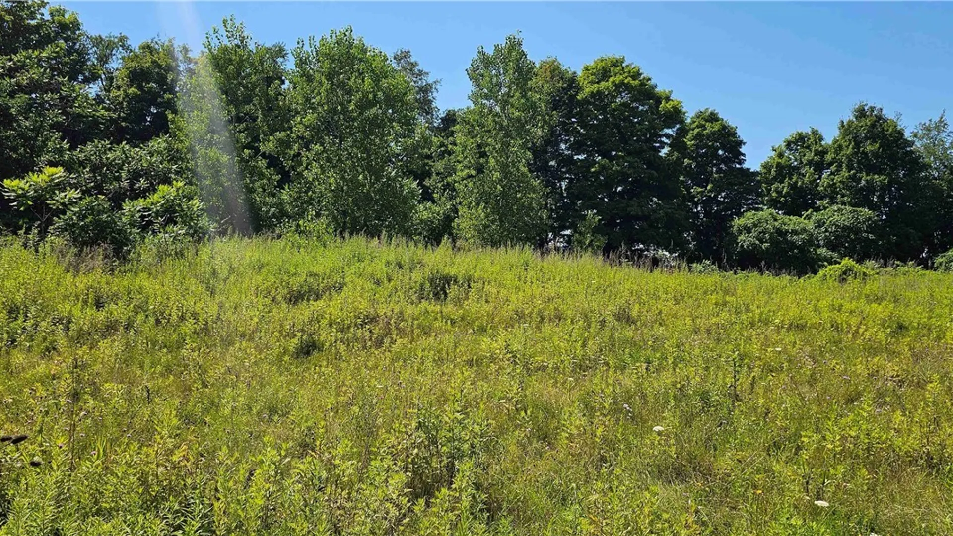 Property at Ferguson Road, Dryden, NY 13053 8