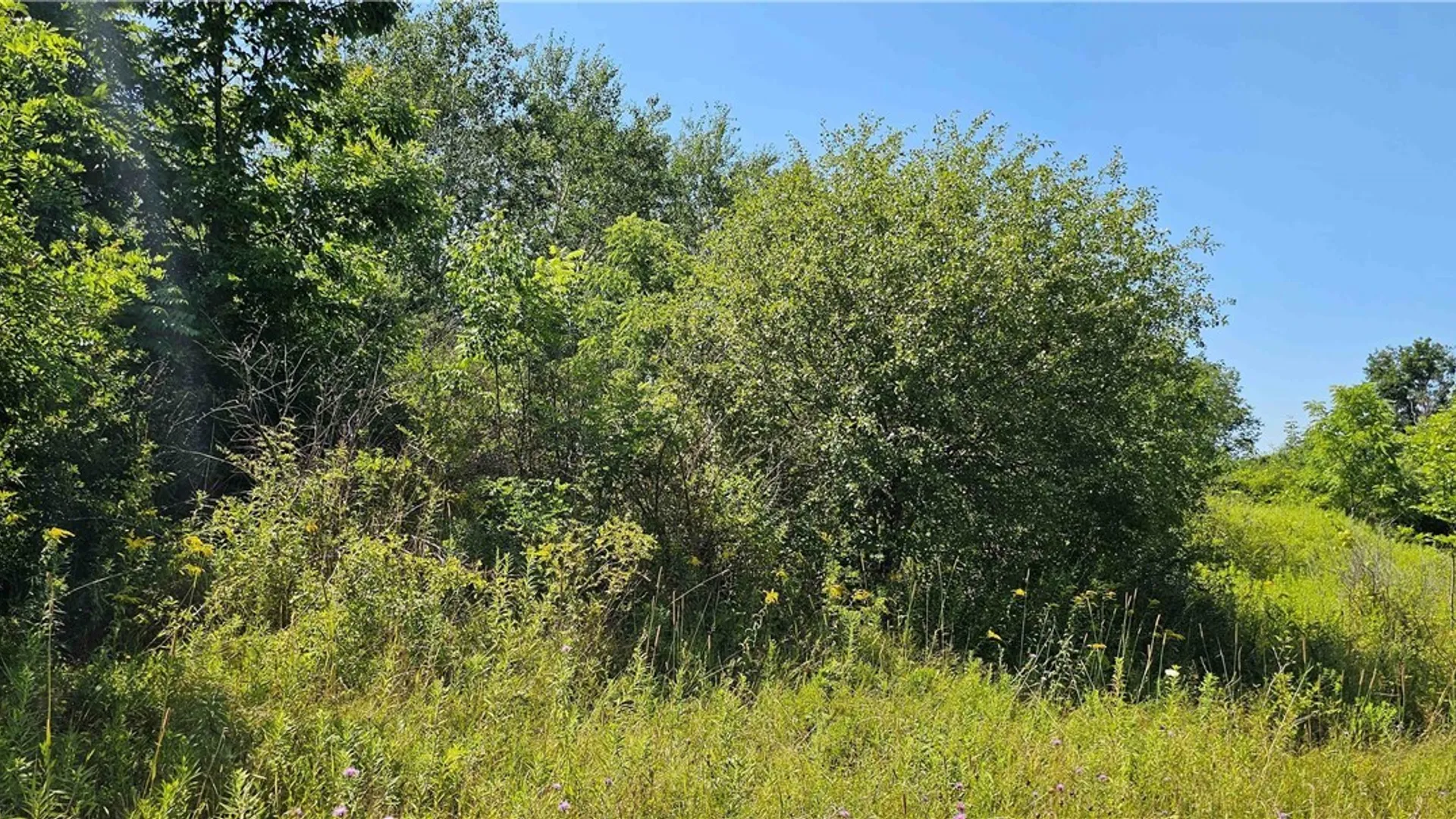 Property at Ferguson Road, Dryden, NY 13053 11