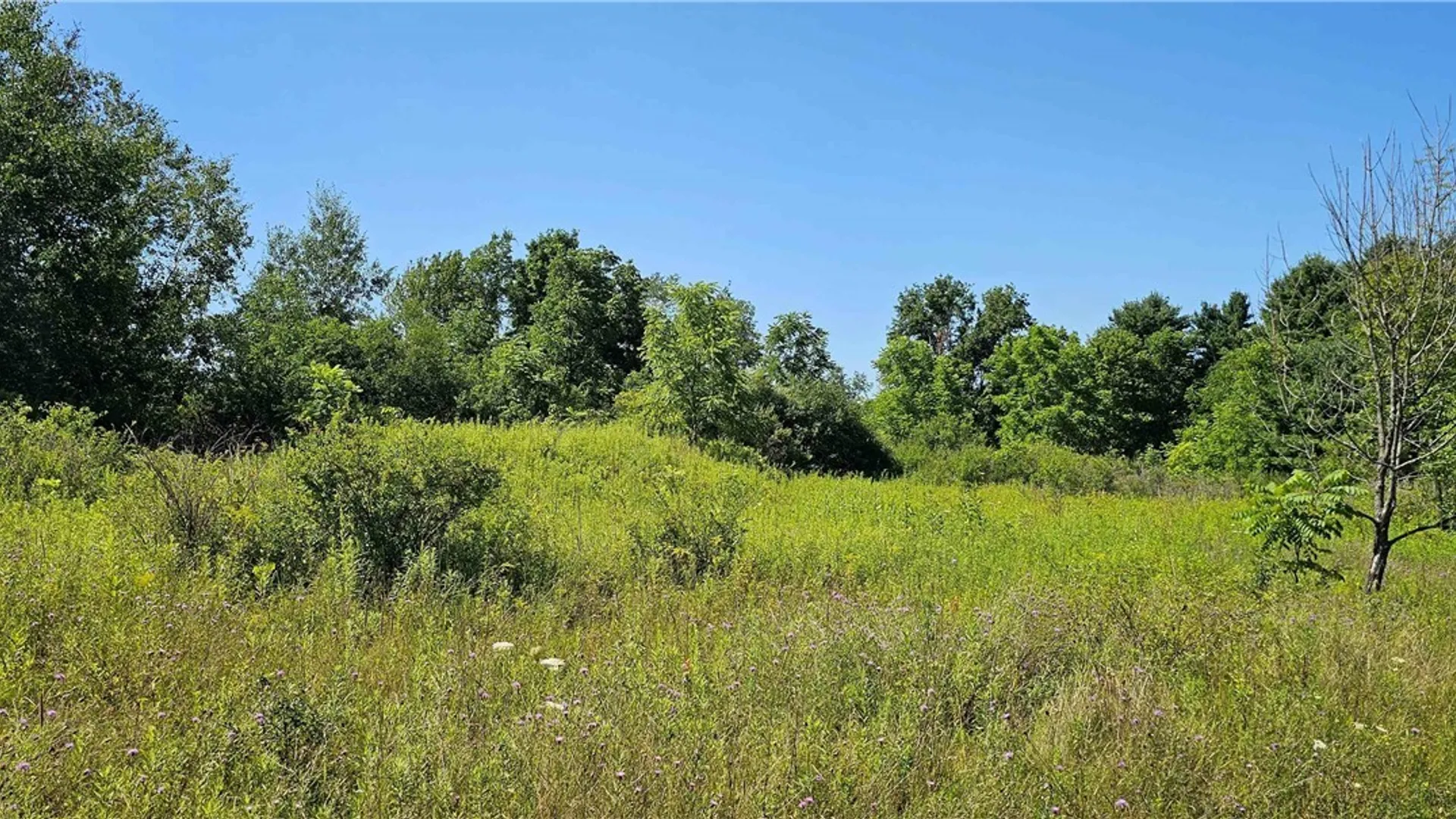 Property at Ferguson Road, Dryden, NY 13053 12