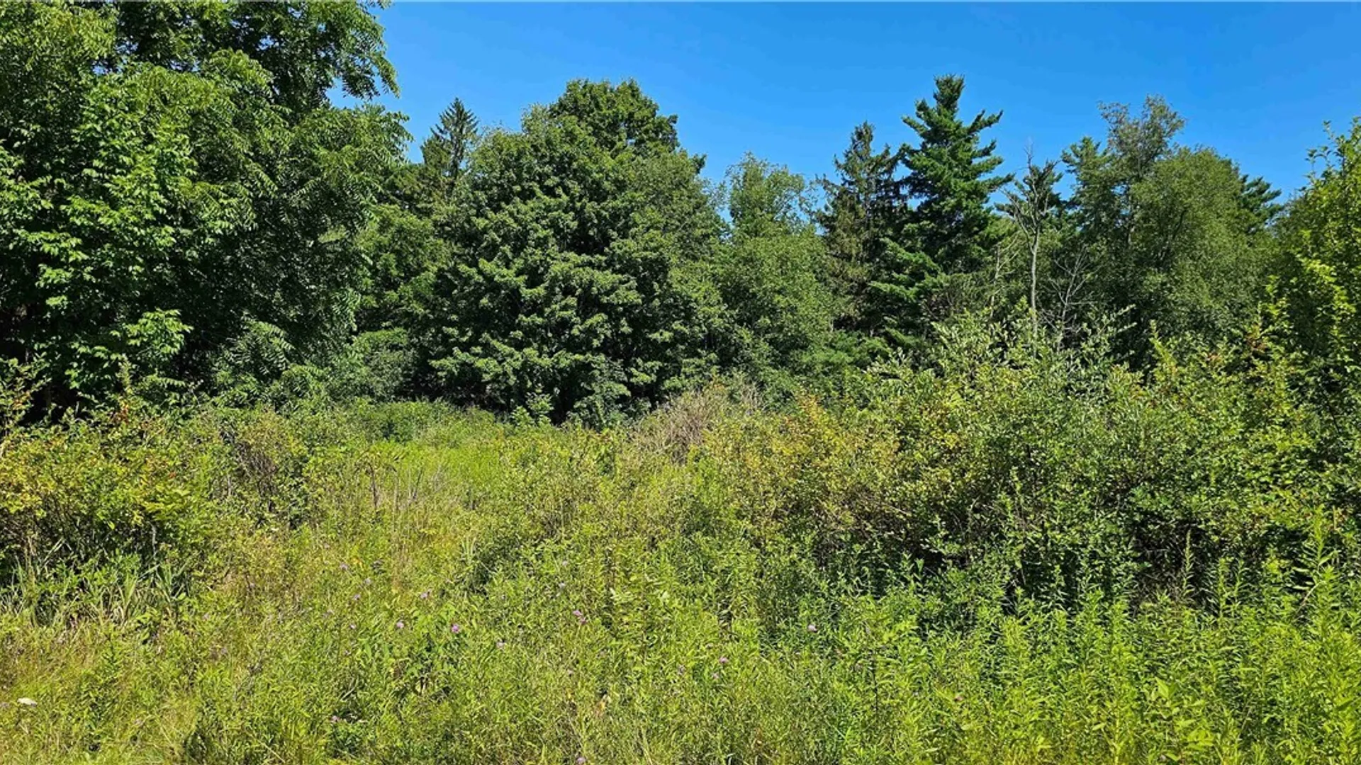 Property at Ferguson Road, Dryden, NY 13053 15