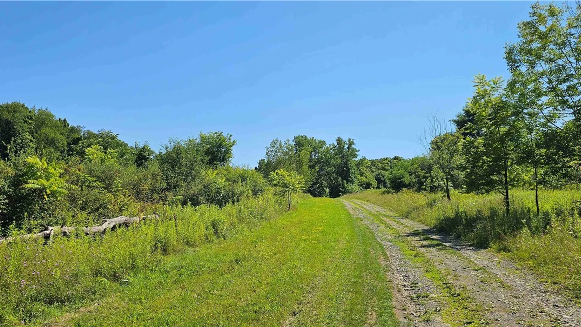 Property at Ferguson Road, Dryden, NY 13053 17