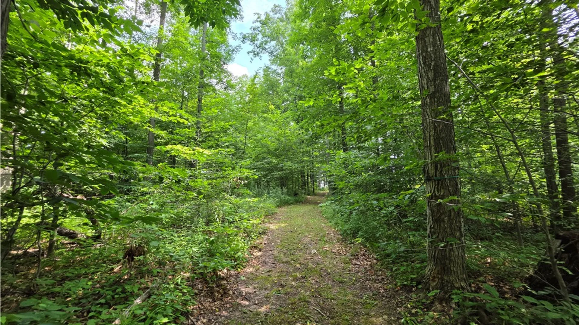 Property at 1990 State Route 36, Jasper, NY 14855 45