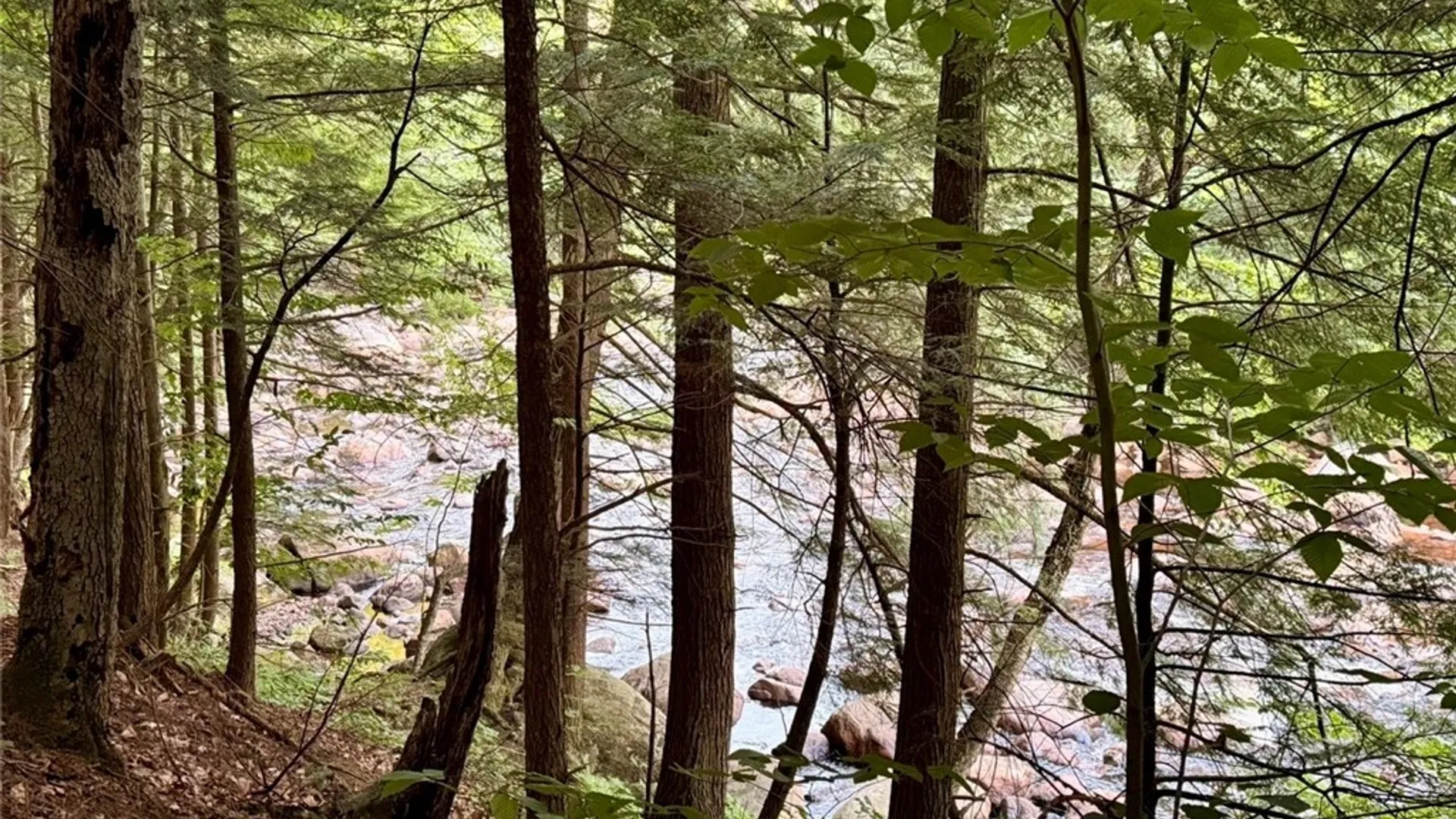 Property at Donnattsburg Road, Greig, NY 13345 5