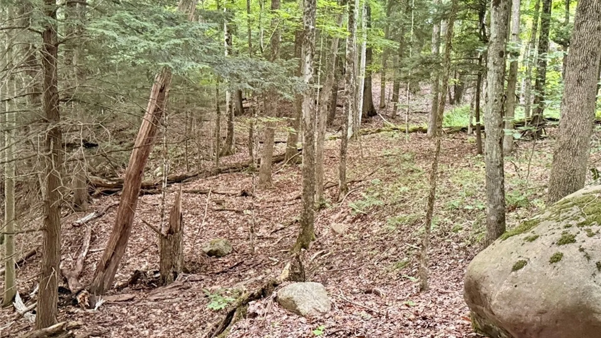 Property at Donnattsburg Road, Greig, NY 13345 6