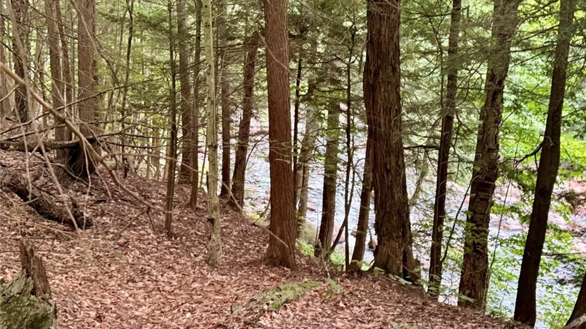 Property at Donnattsburg Road, Greig, NY 13345 7