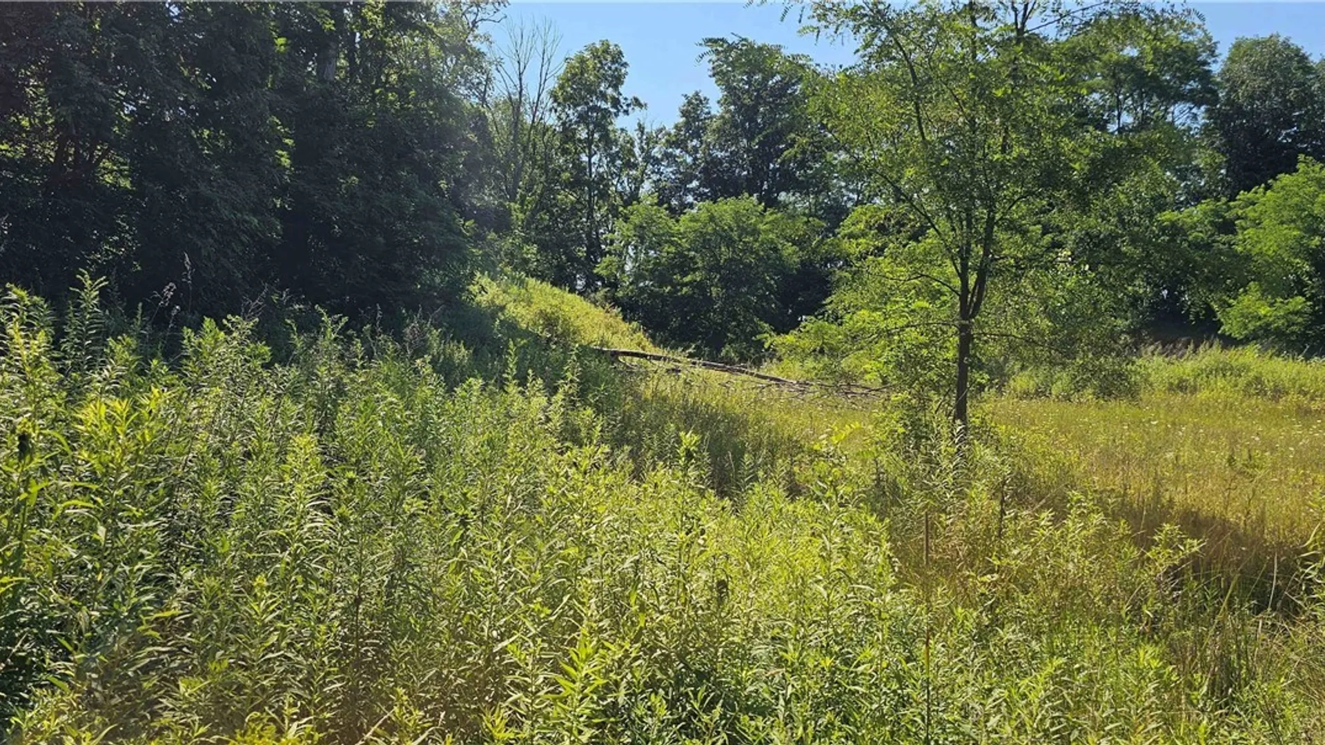 Property at Hilton Road, Dryden, NY 13053 5